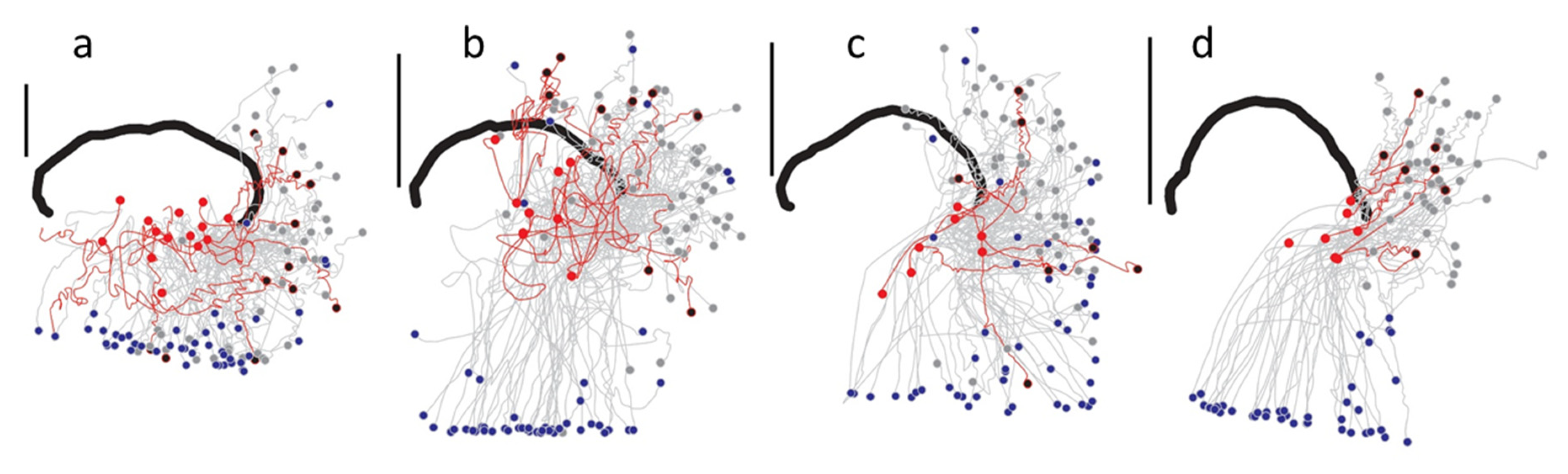 Fluids 05 00060 g004 Fluids 05 00060 g004