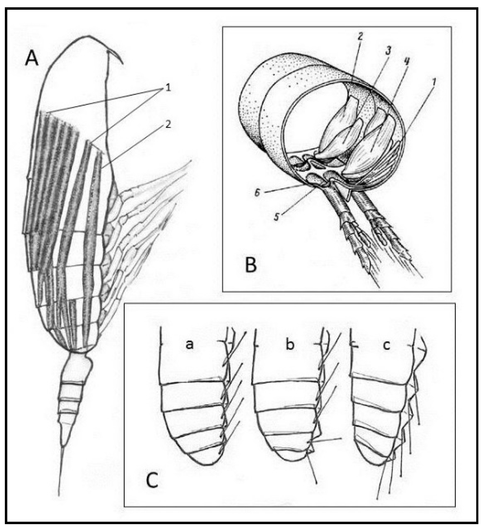 Fluids 05 00068 g003