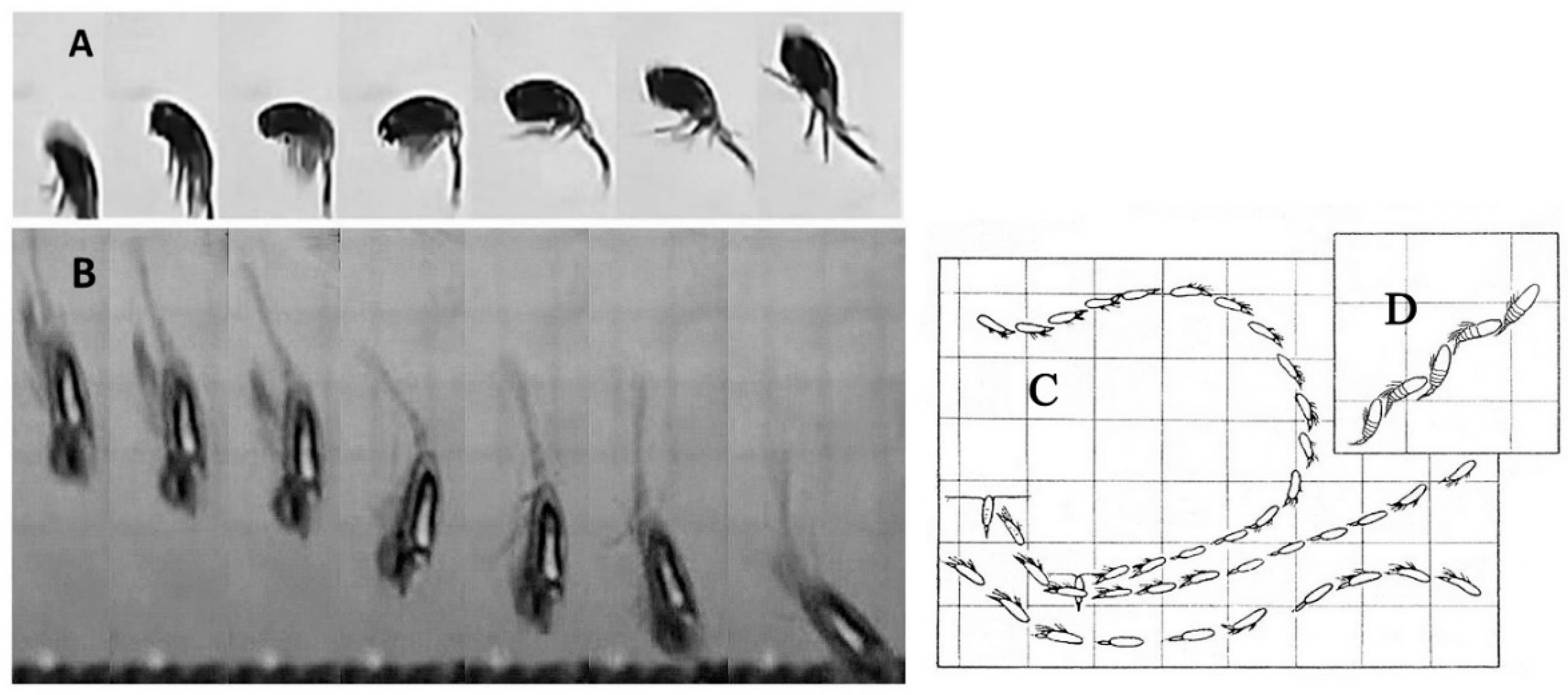 Fluids 05 00068 g005
