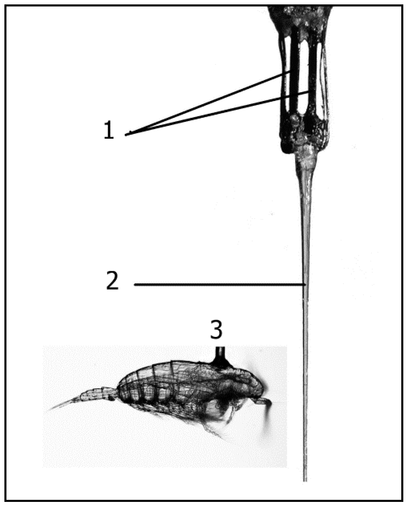 Fluids 05 00068 g010