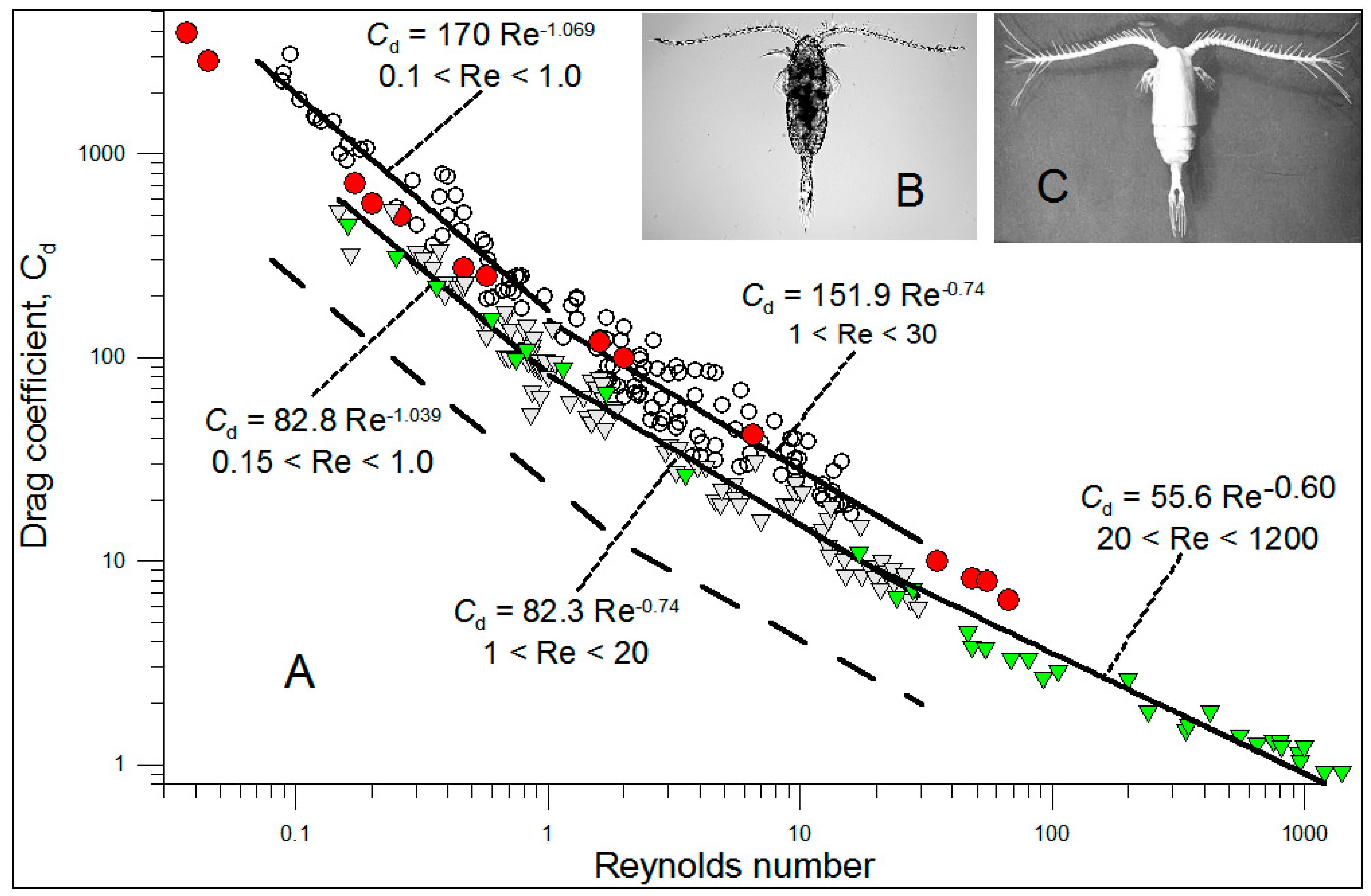 Fluids 05 00068 g012