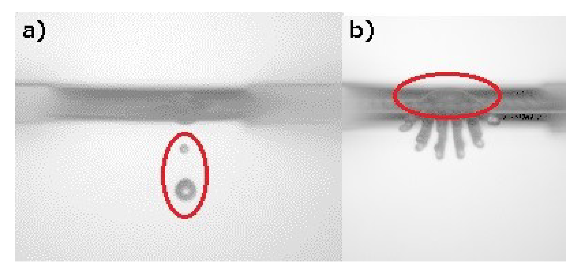 Fluids 05 00081 g007 Fluids 05 00081 g007