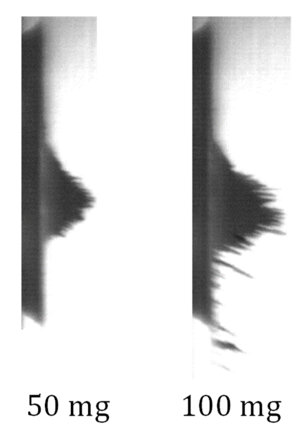 Fluids 05 00098 g007