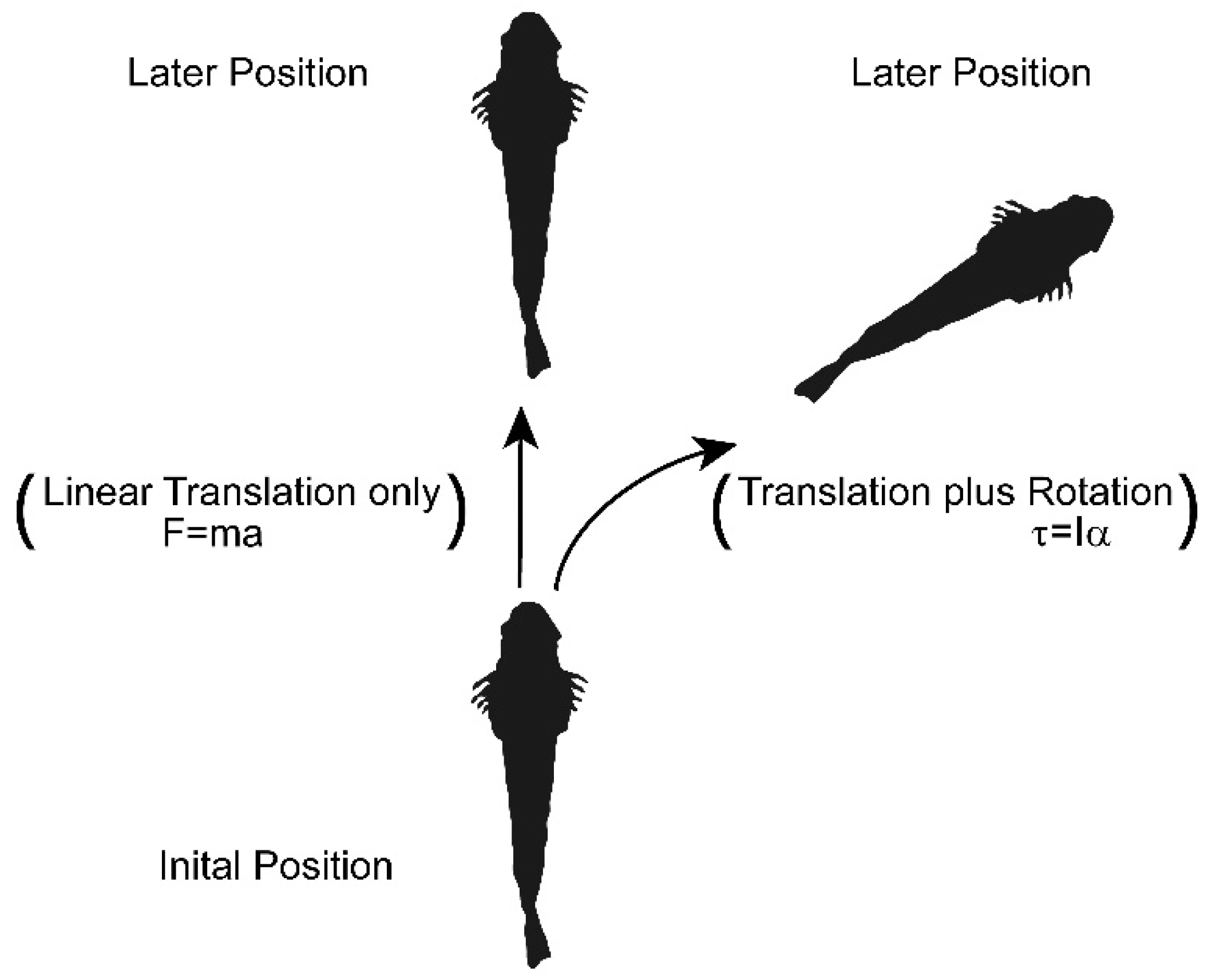 Fluids 05 00106 g001
