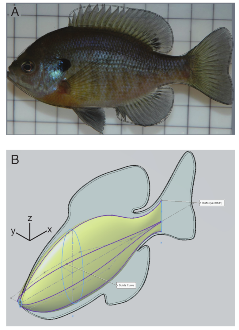 Fluids 05 00215 g001 Fluids 05 00215 g001