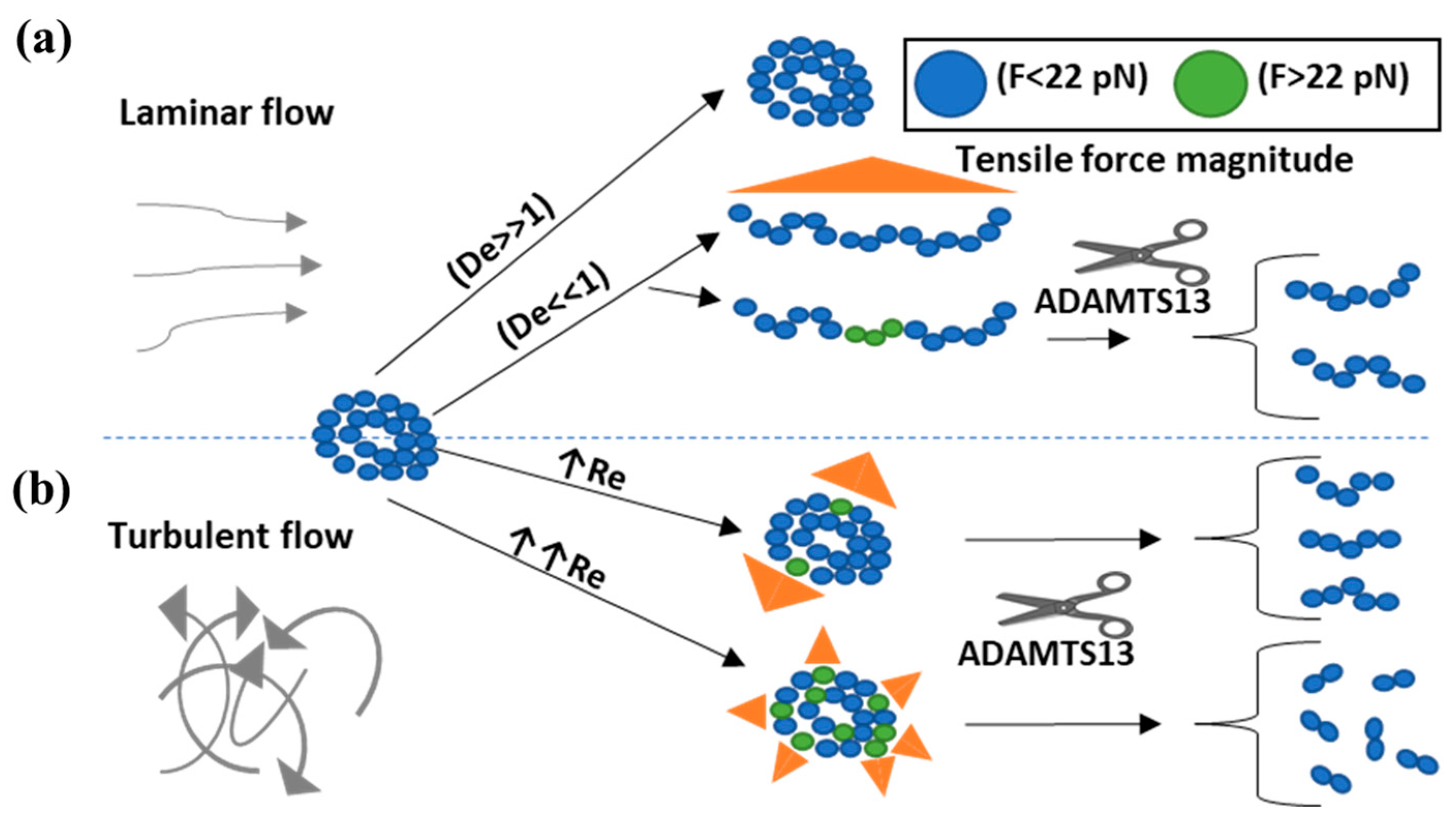 Fluids 06 00067 g004