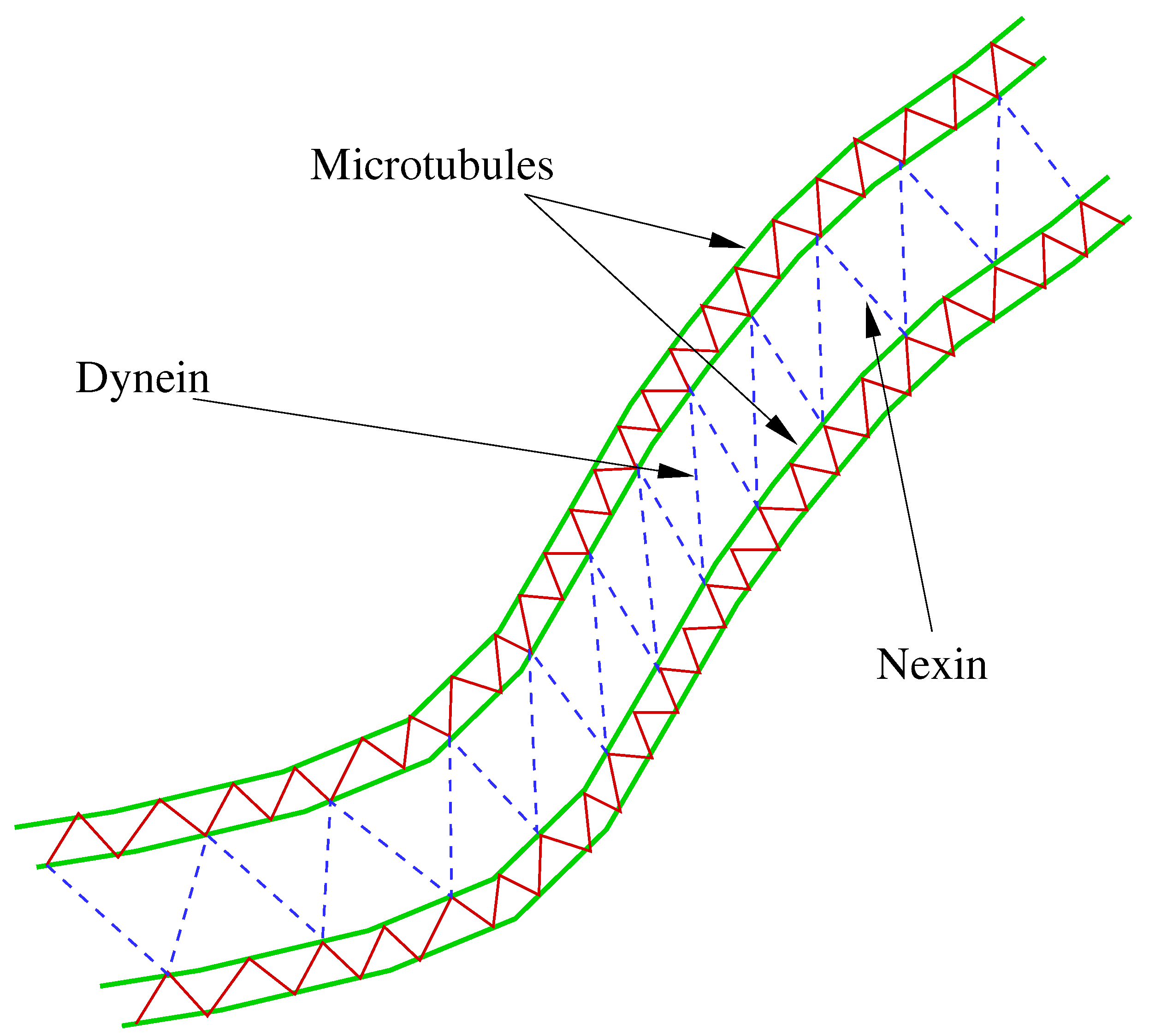 Fluids 06 00073 g001