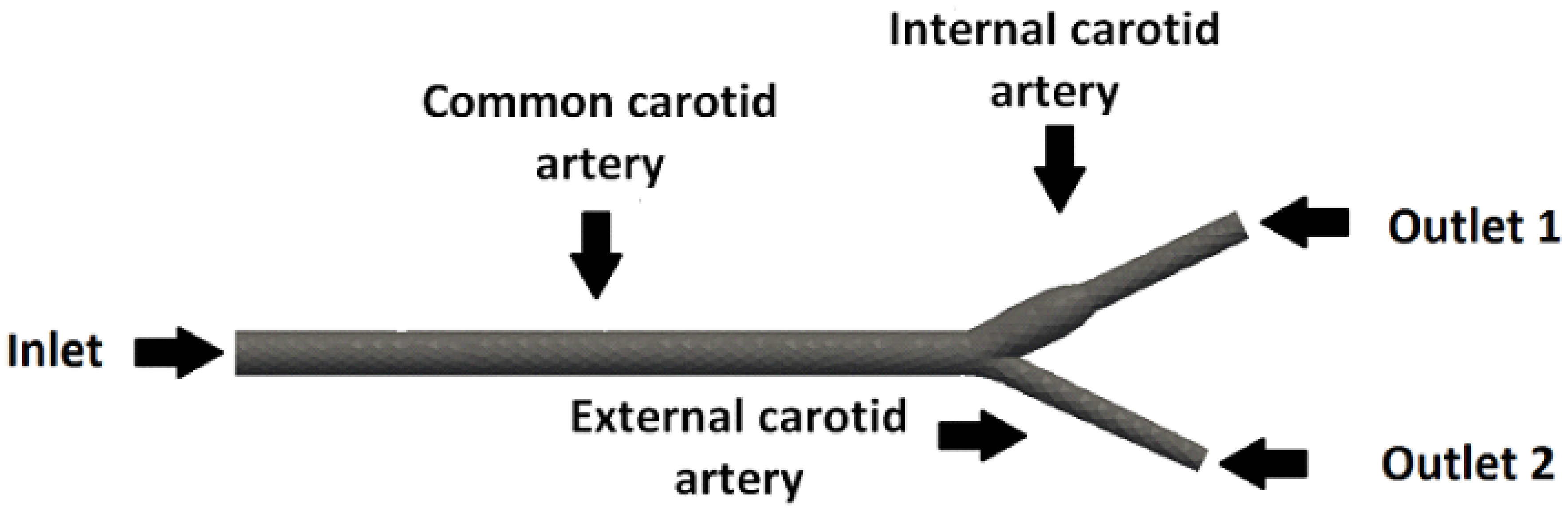 Fluids 06 00097 g001
