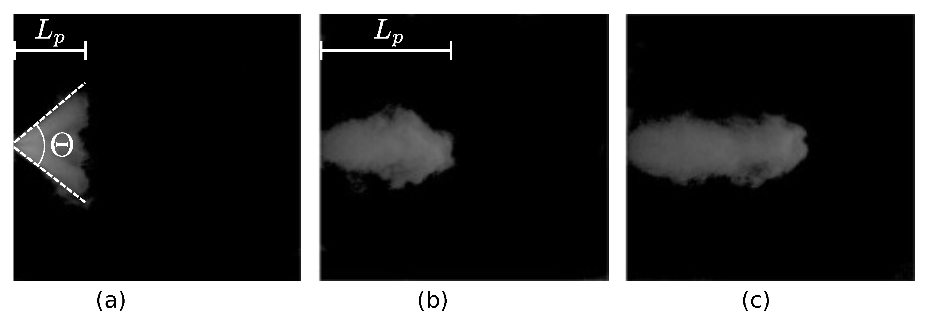 Fluids 06 00104 g007