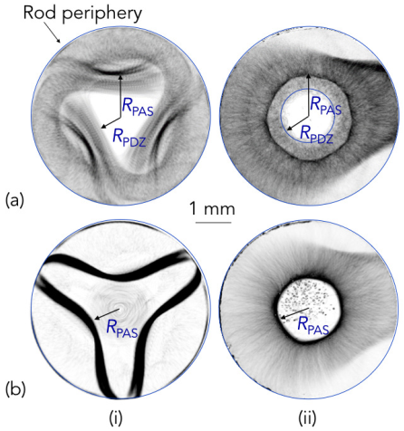 Fluids 06 00105 g004 Fluids 06 00105 g004