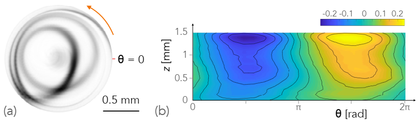 Fluids 06 00105 g011 Fluids 06 00105 g011