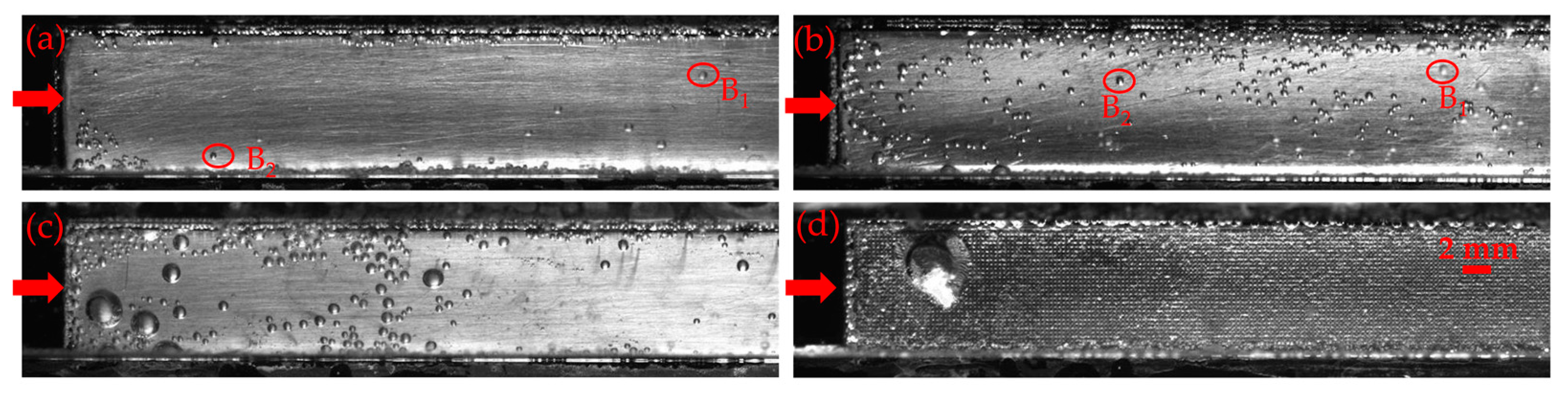 Fluids 06 00200 g008