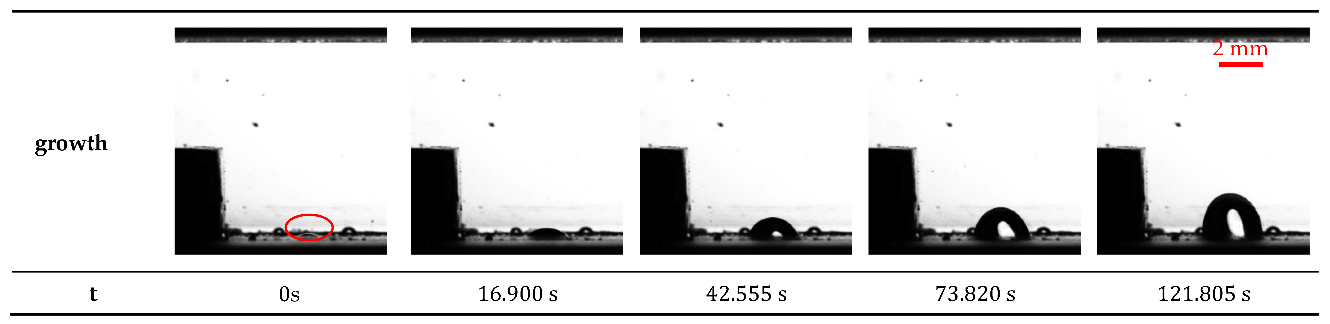 Fluids 06 00200 g013a