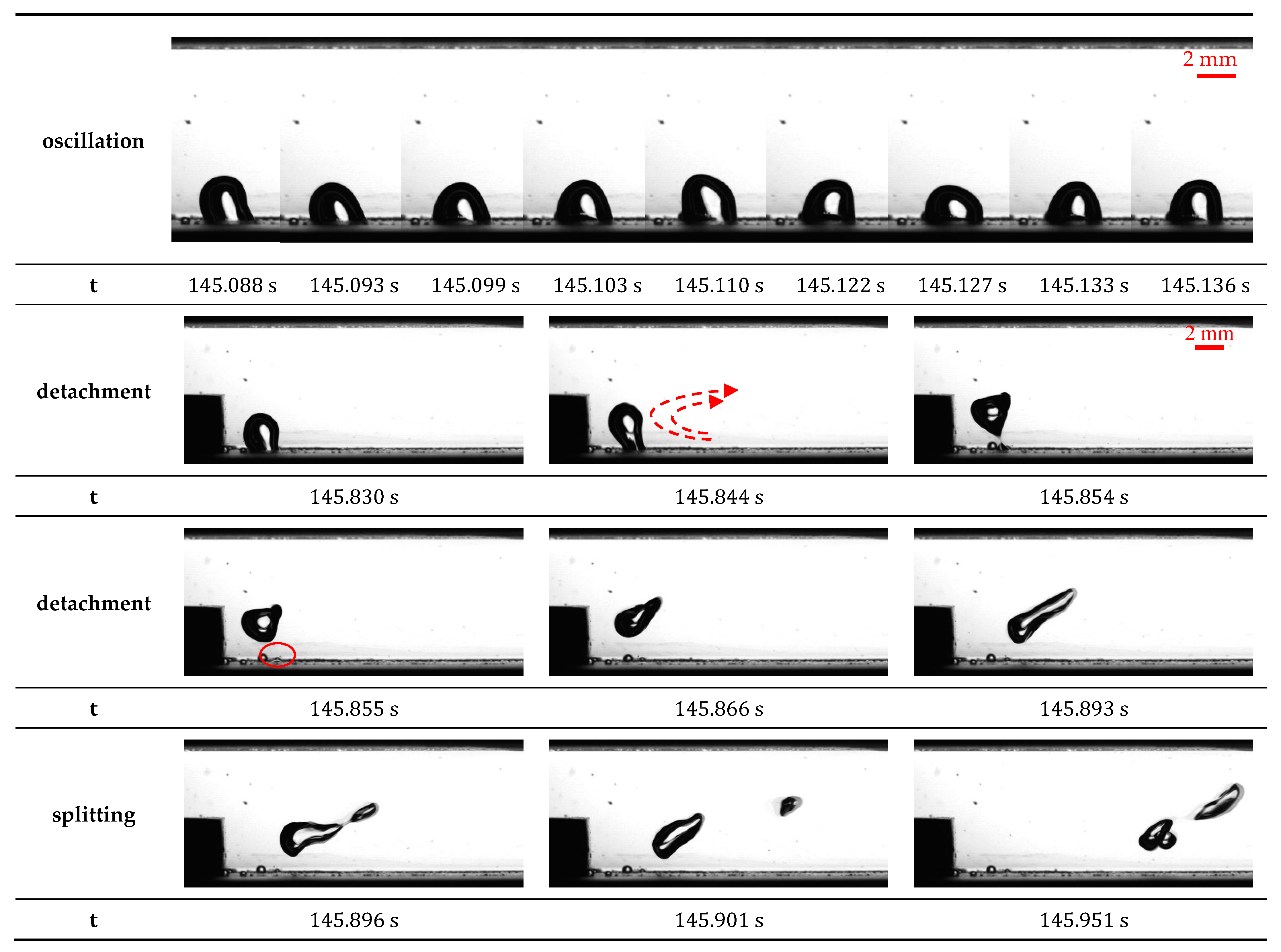 Fluids 06 00200 g013b