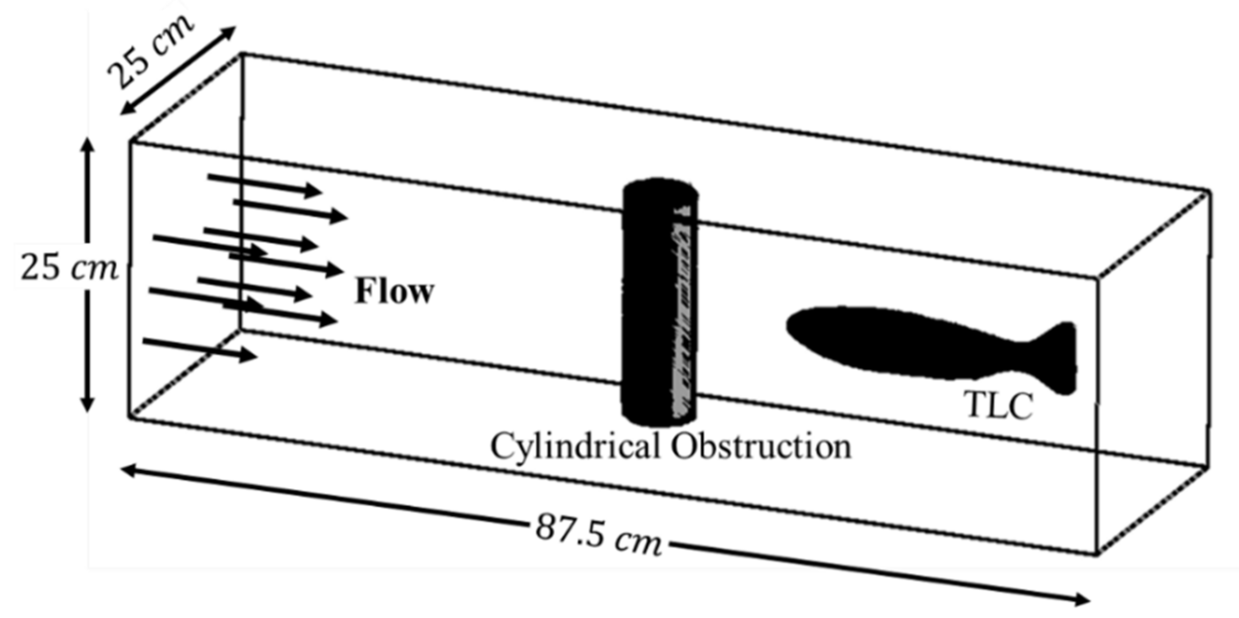 Fluids 06 00204 g001