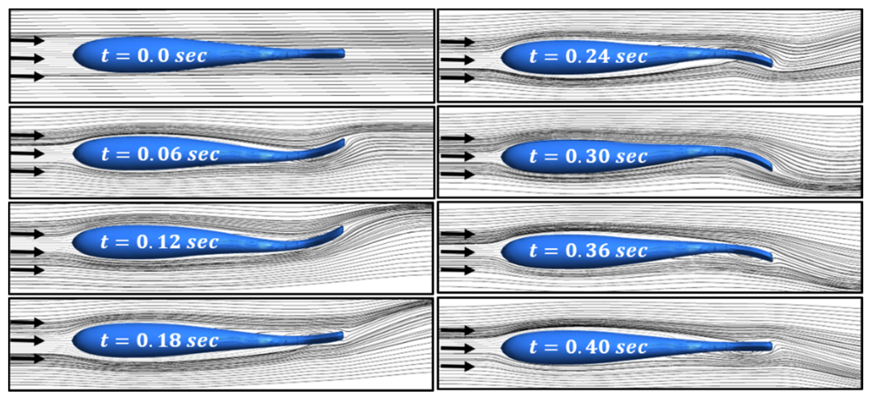 Fluids 06 00204 g005