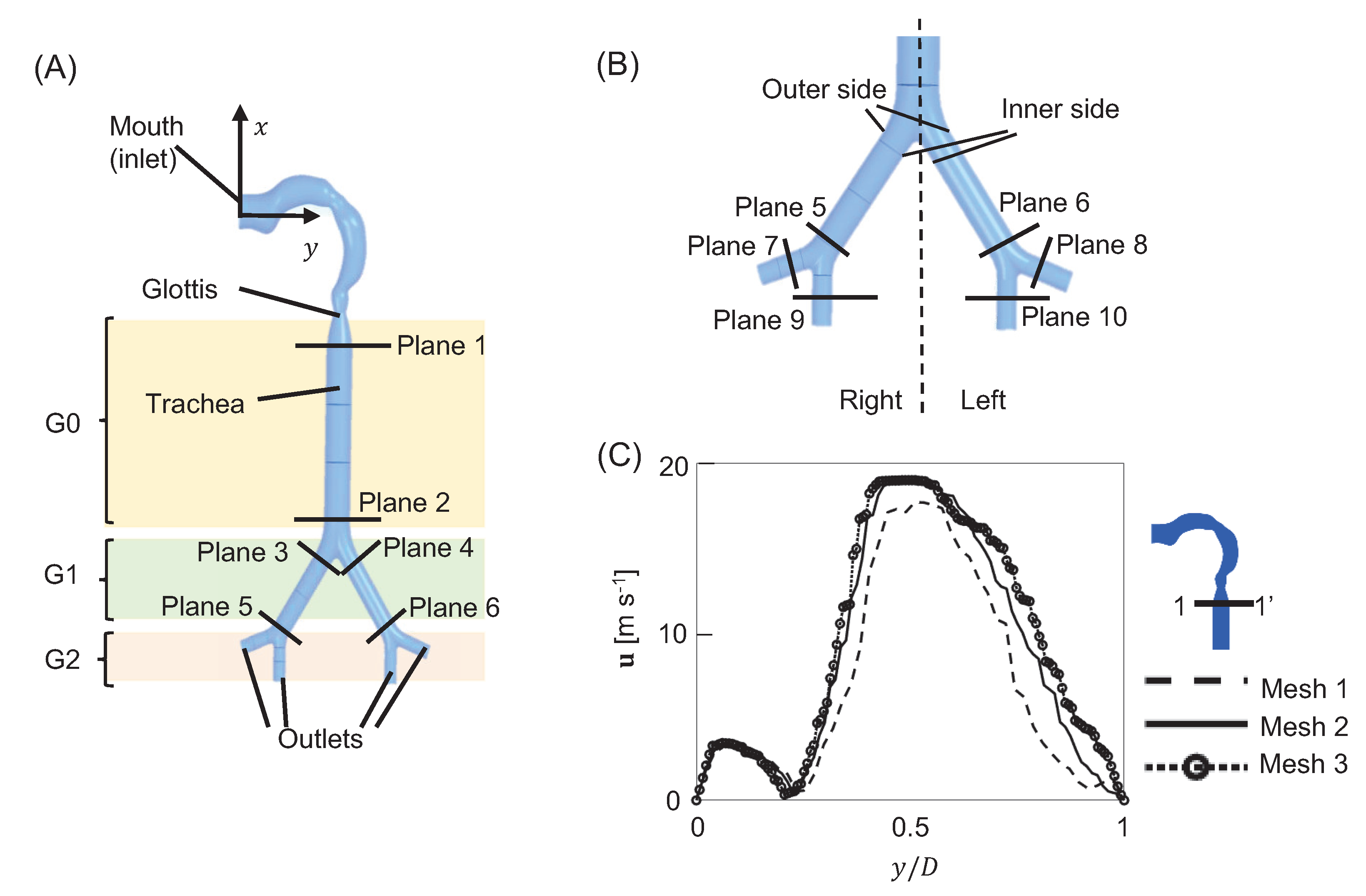 Fluids Free FullText Effects of Varying Inhalation Duration and