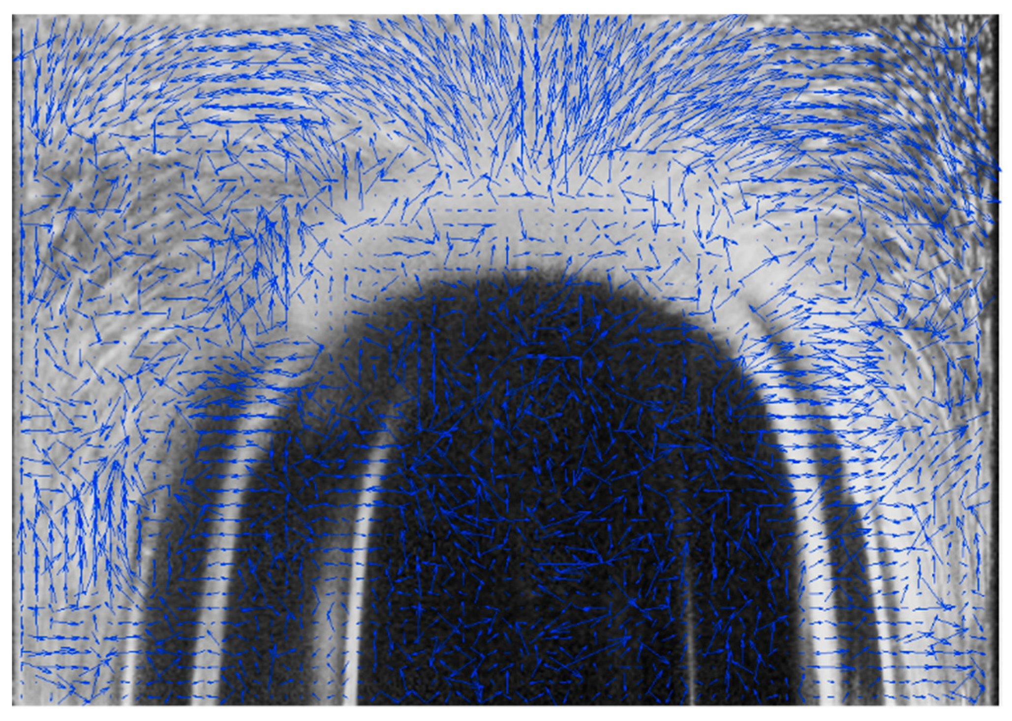 Fluids 06 00226 g010