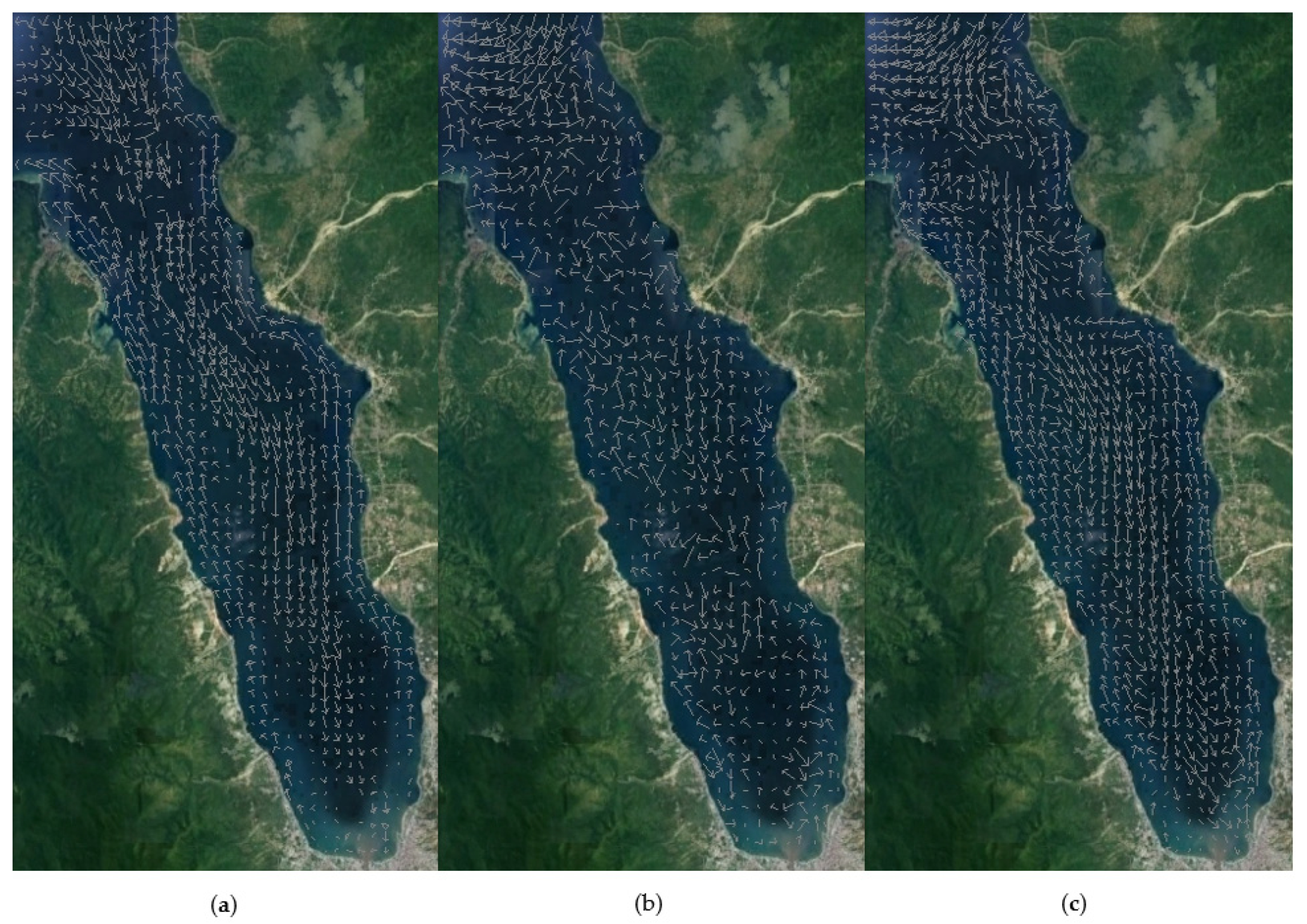 Fluids 06 00234 g004 550