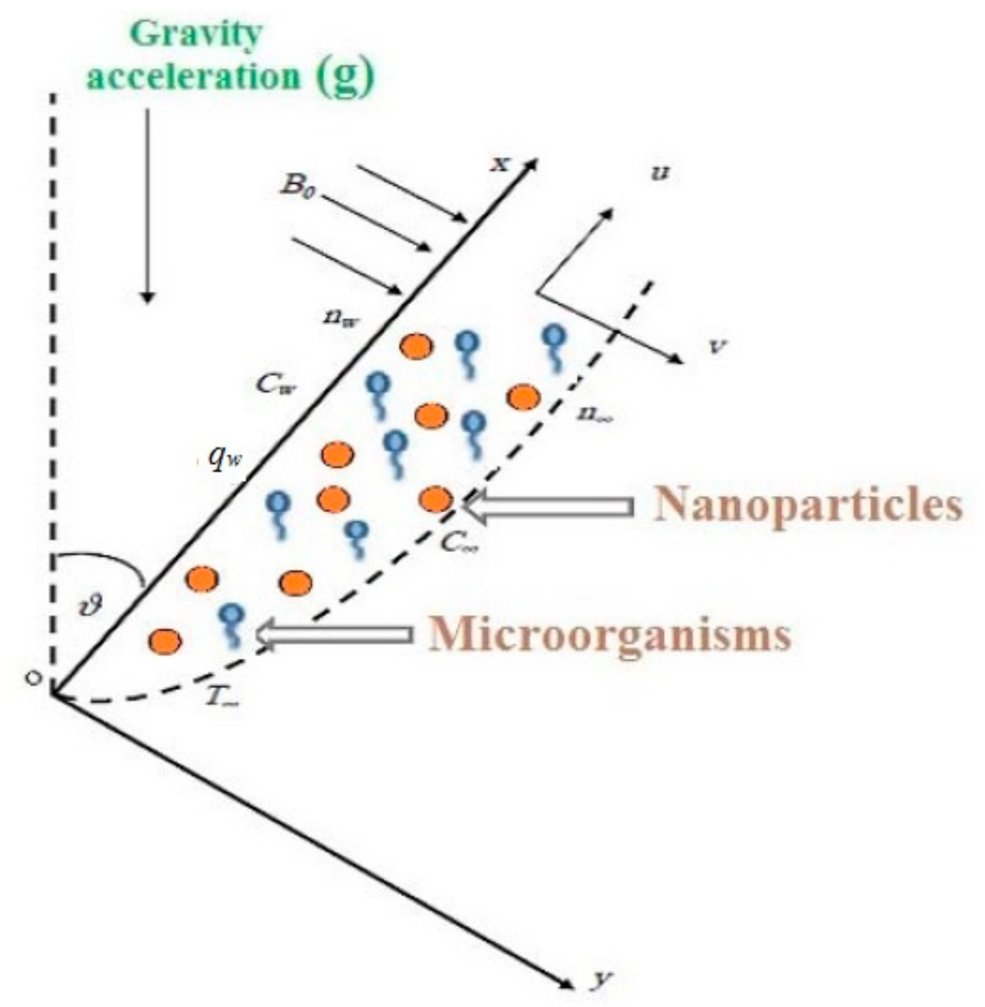 Fluids 06 00253 g001