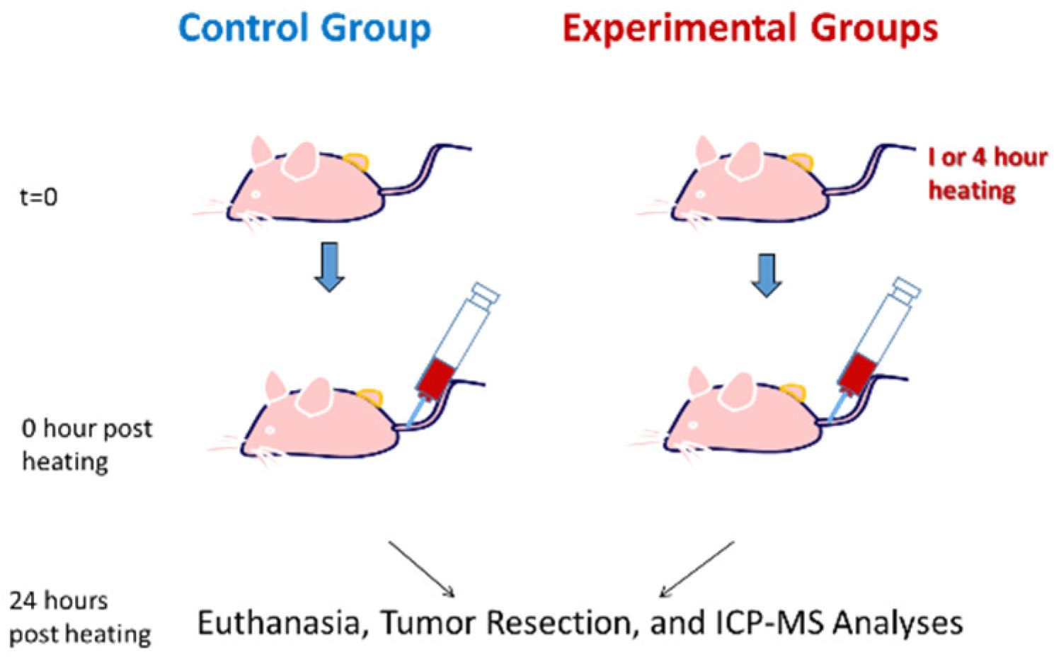 Fluids 06 00272 g002 Fluids 06 00272 g002