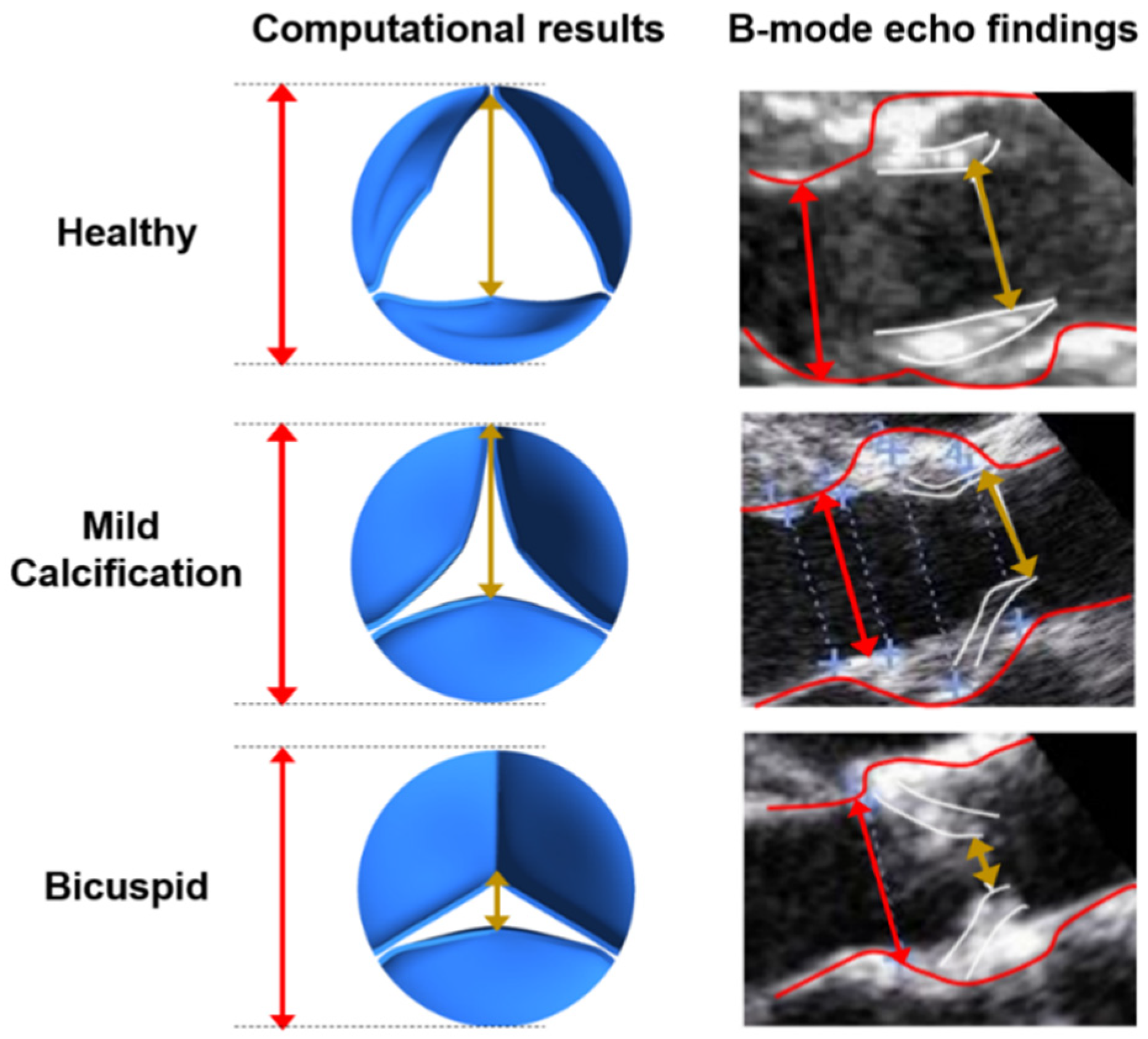 Fluids 06 00287 g003 550