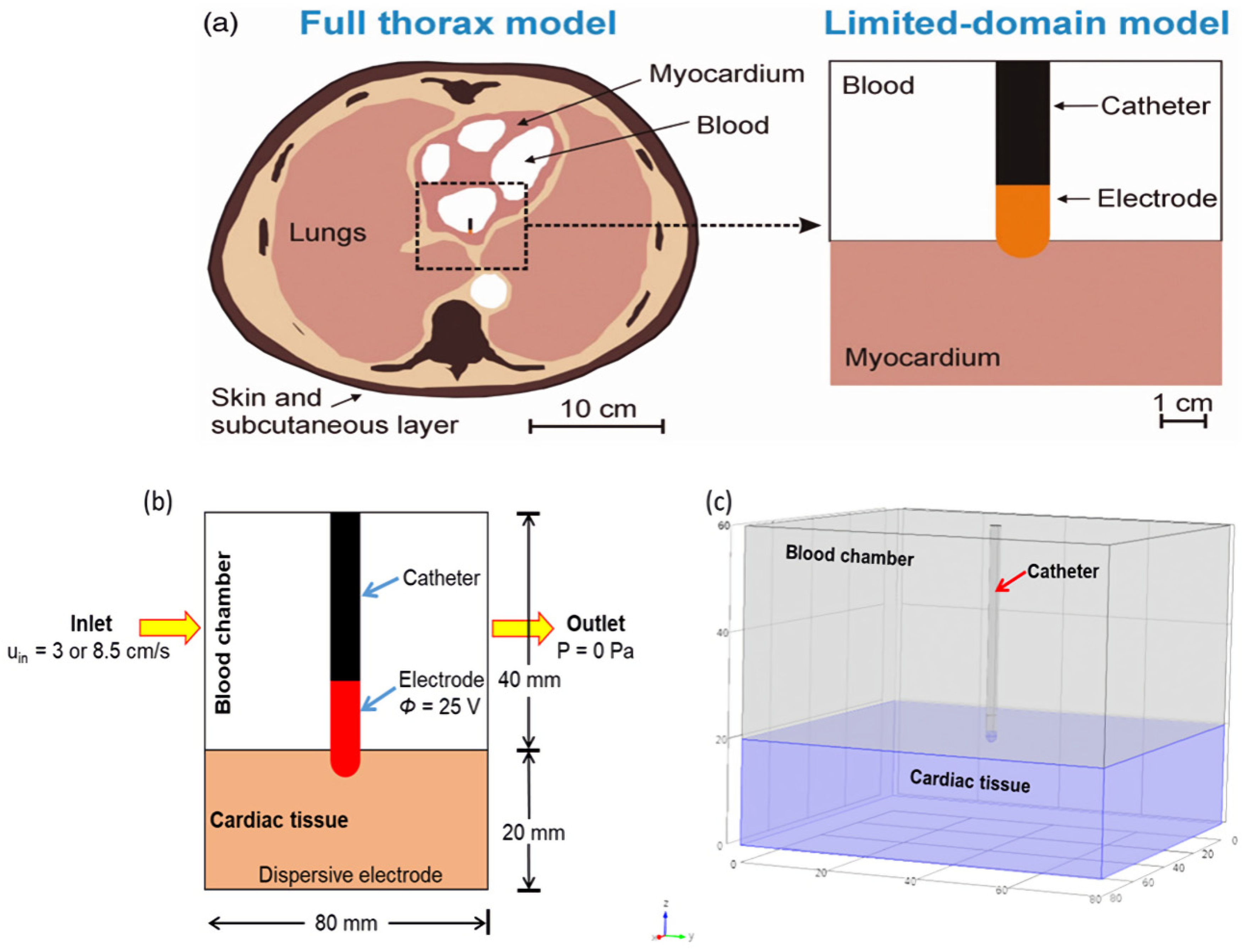 Fluids 06 00294 g001