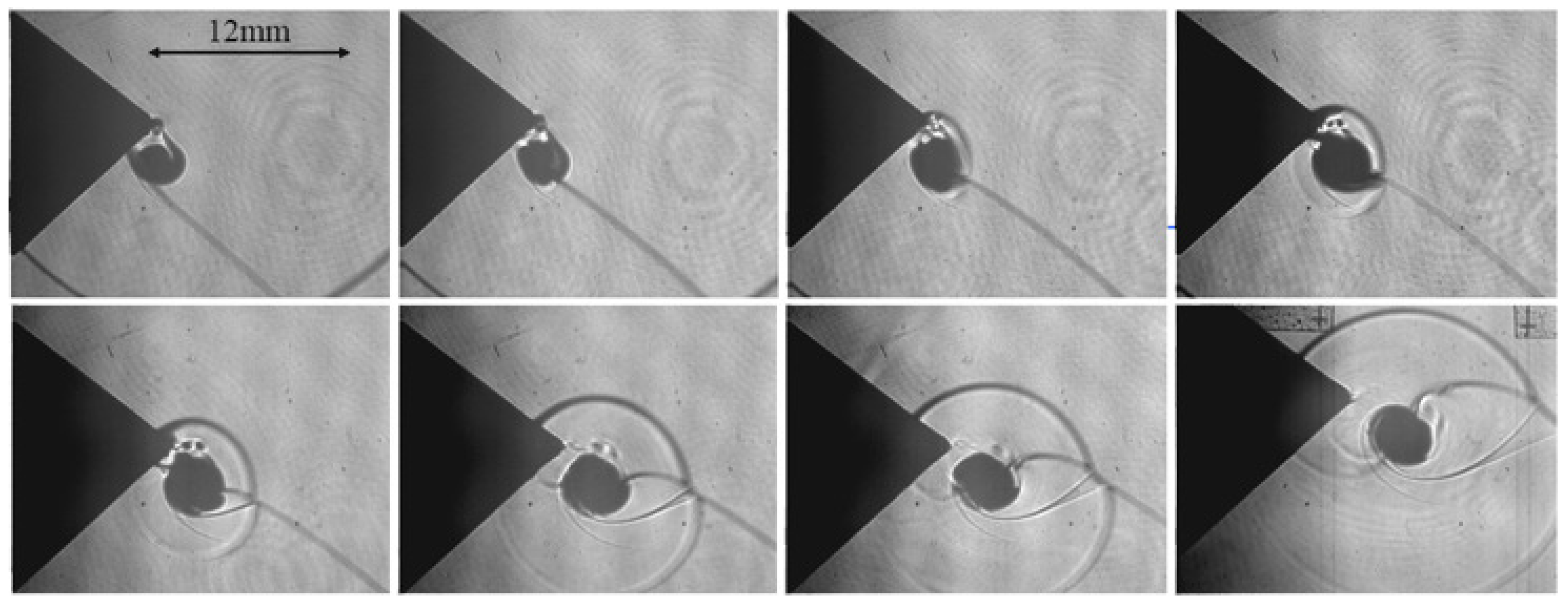 Fluids 06 00303 g008 550