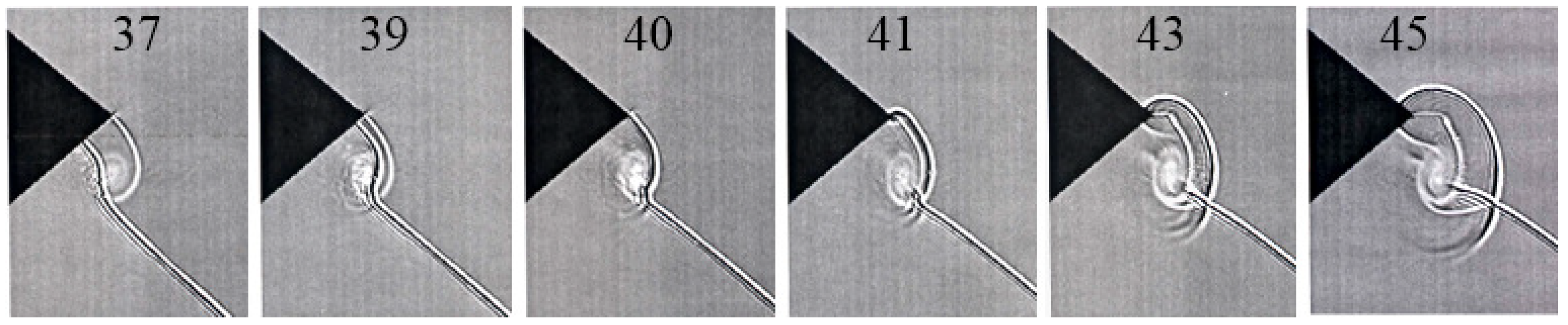 Fluids 06 00303 g010 550