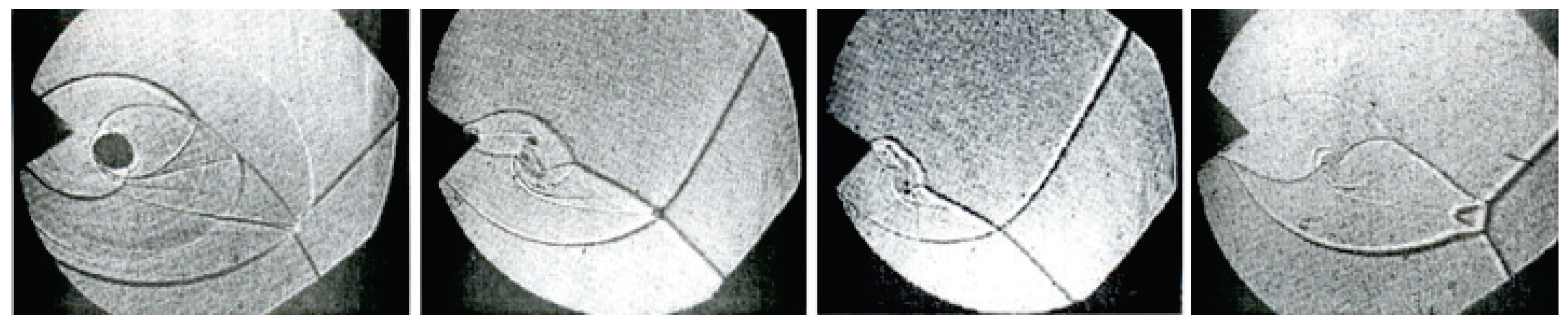 Fluids 06 00303 g017 550