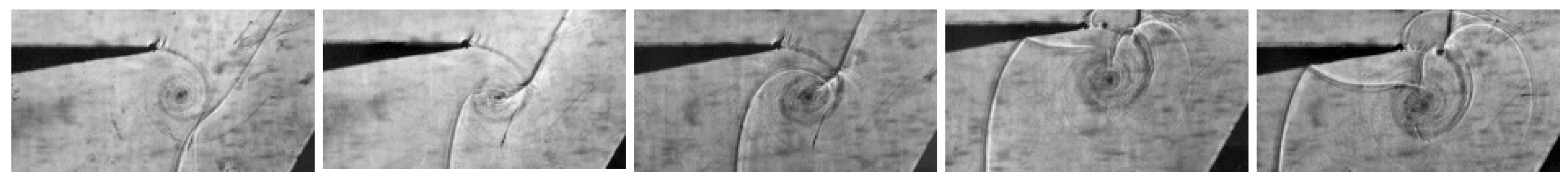 Fluids 06 00303 g027 550