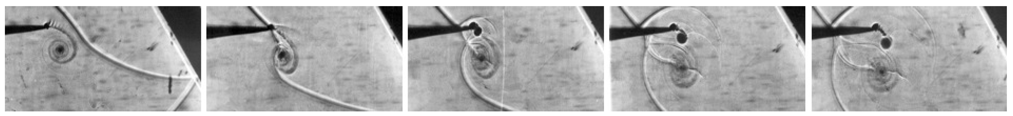 Fluids 06 00303 g028 550