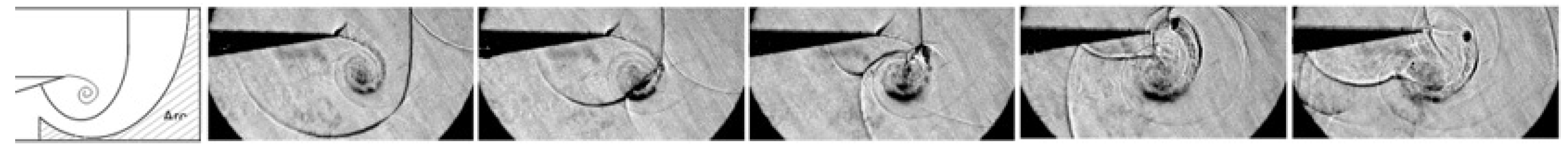 Fluids 06 00303 g029 550