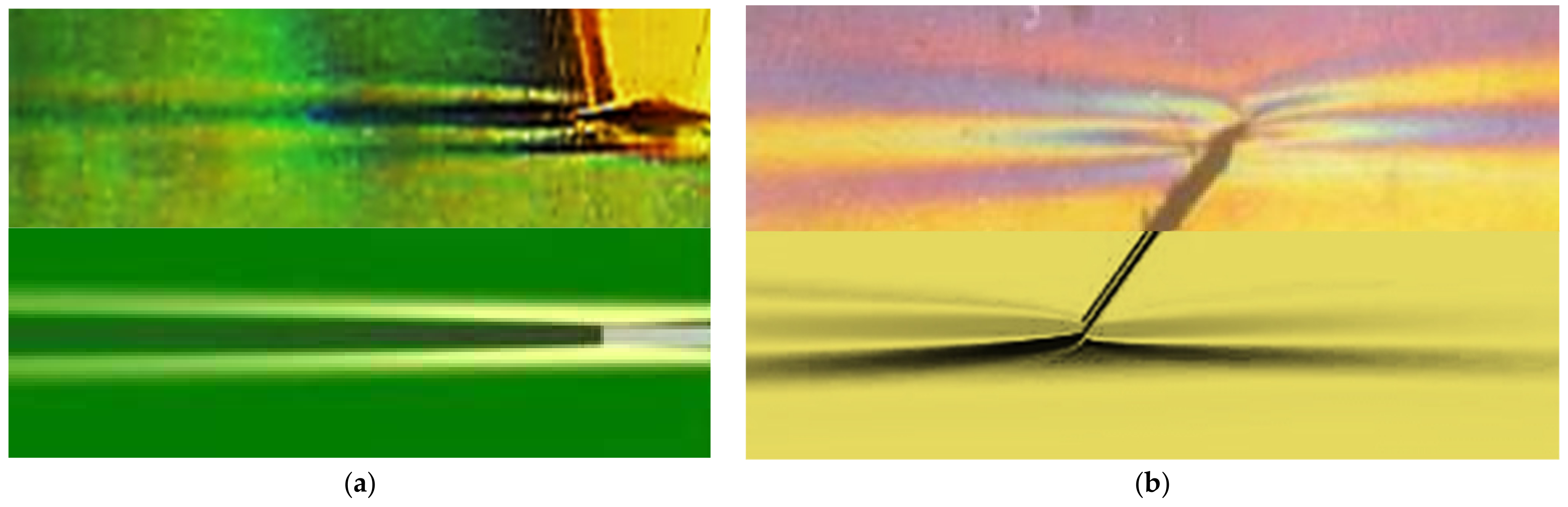 Fluids 06 00310 g004