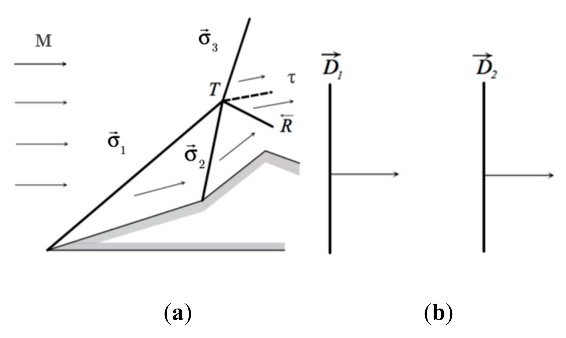 Fluids Free FullText Interaction between Shock Waves Travelling in