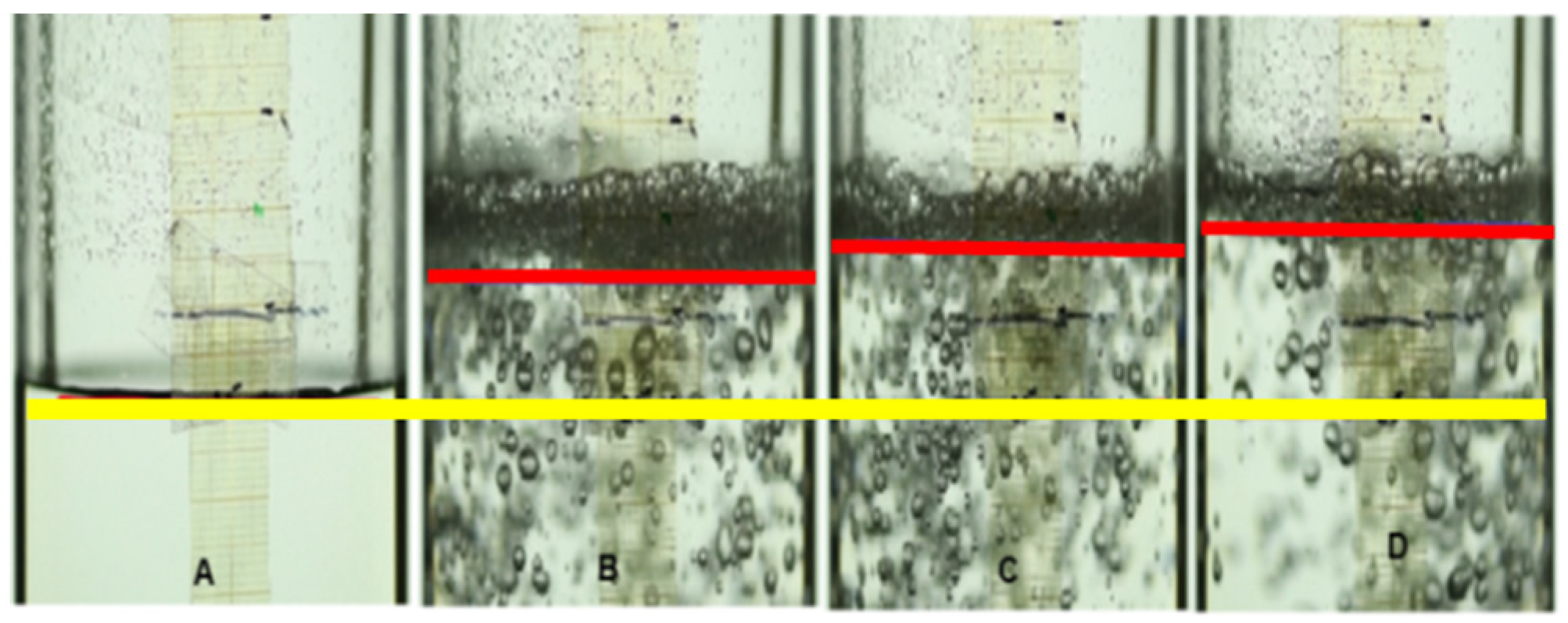Fluids 06 00321 g004