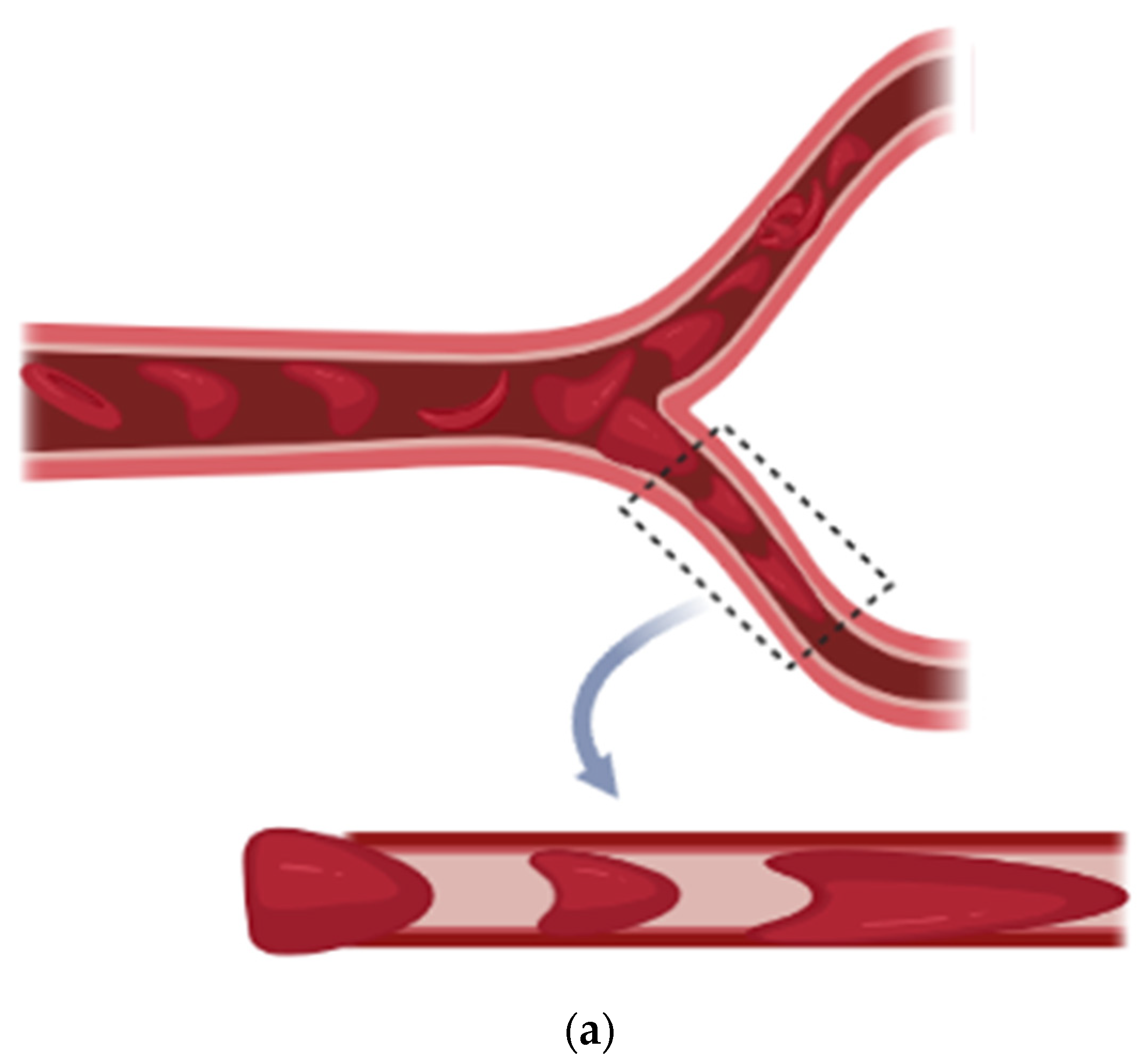 Fluids 06 00322 g001a