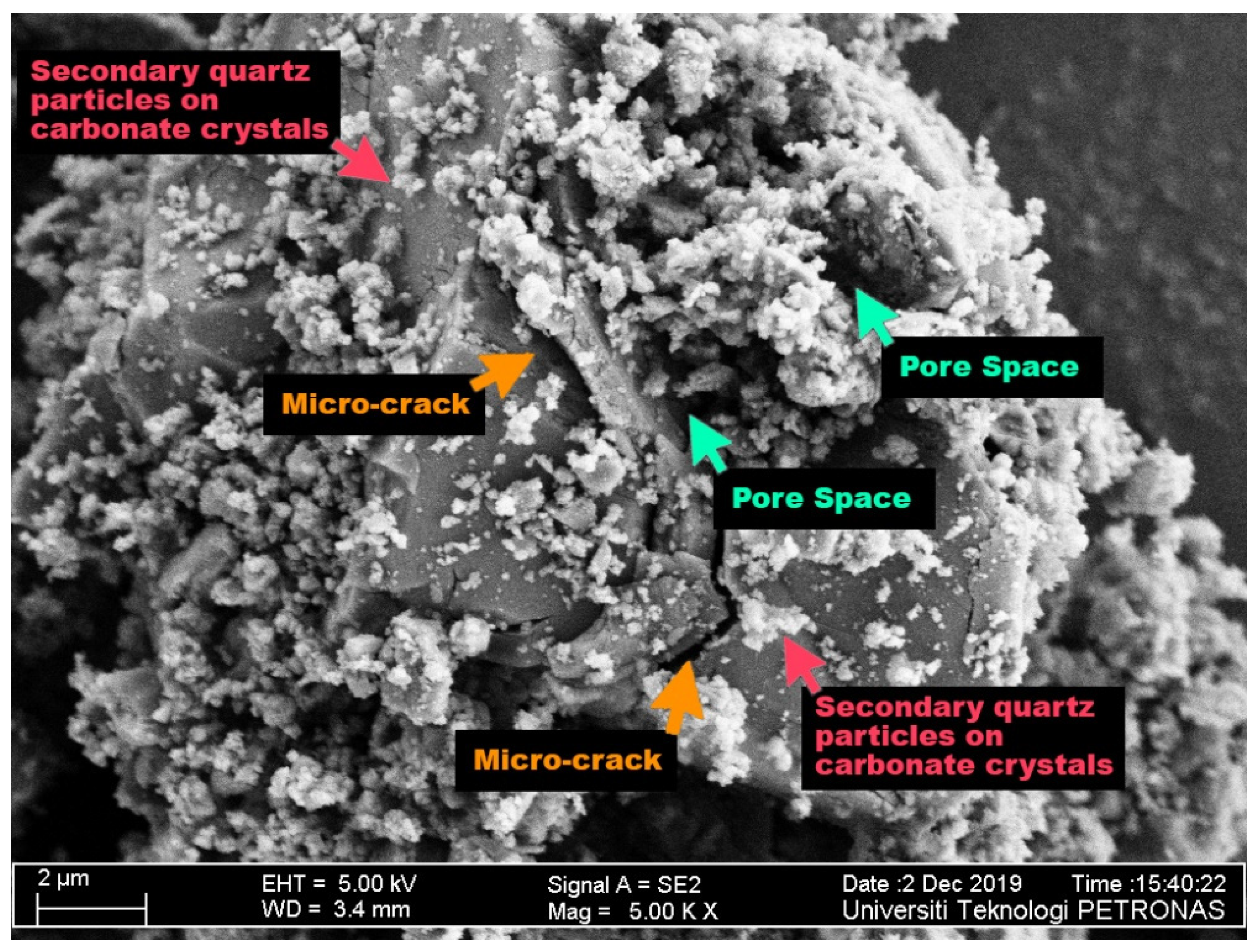 Fluids 06 00339 g006