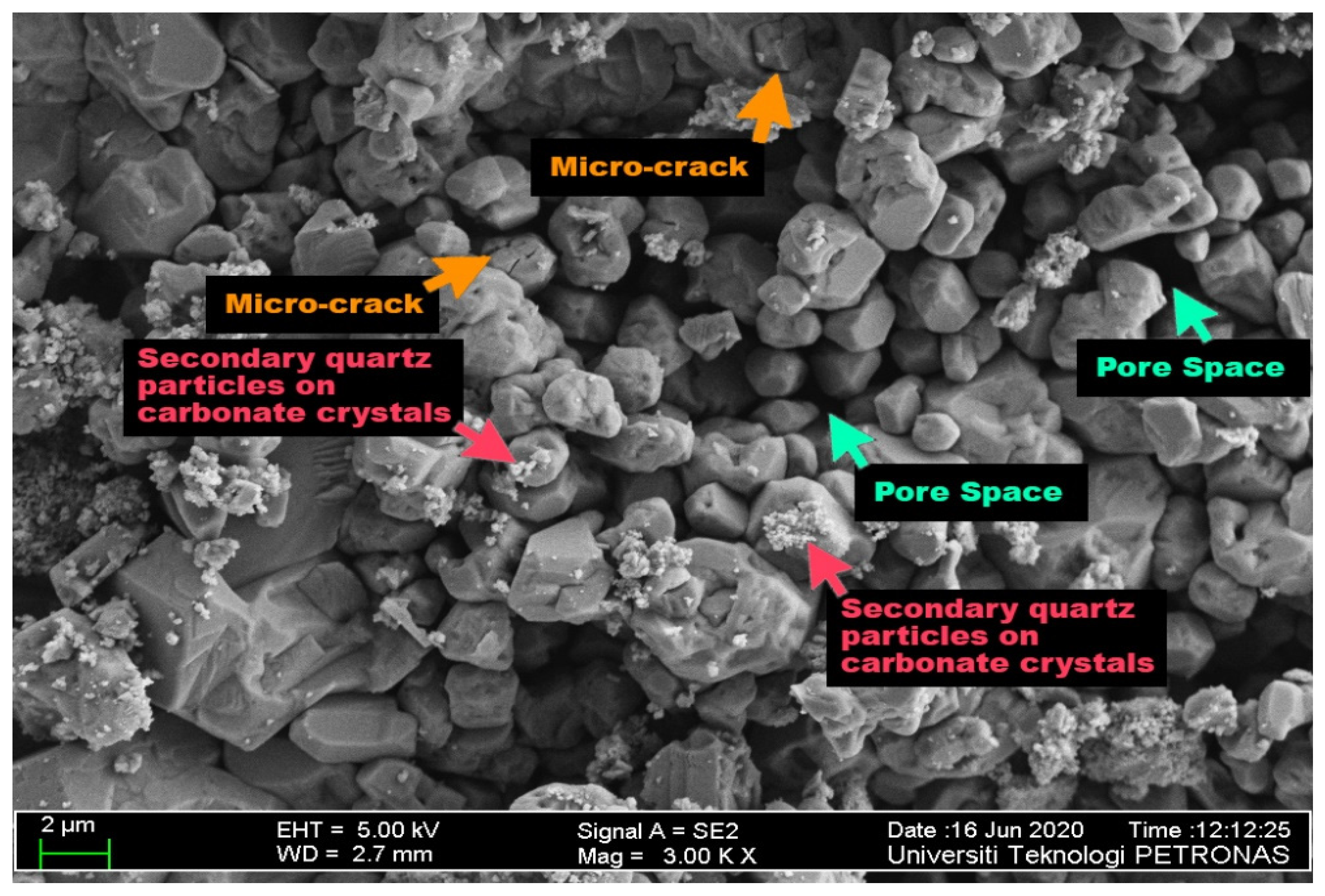 Fluids 06 00339 g009