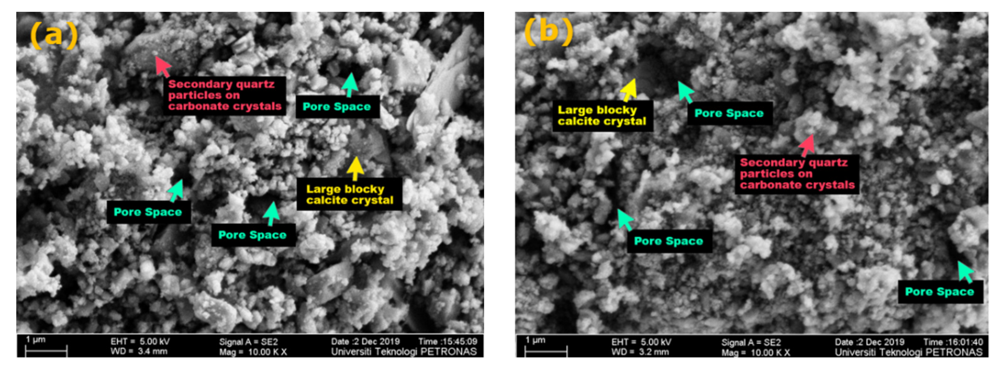 Fluids 06 00339 g016a
