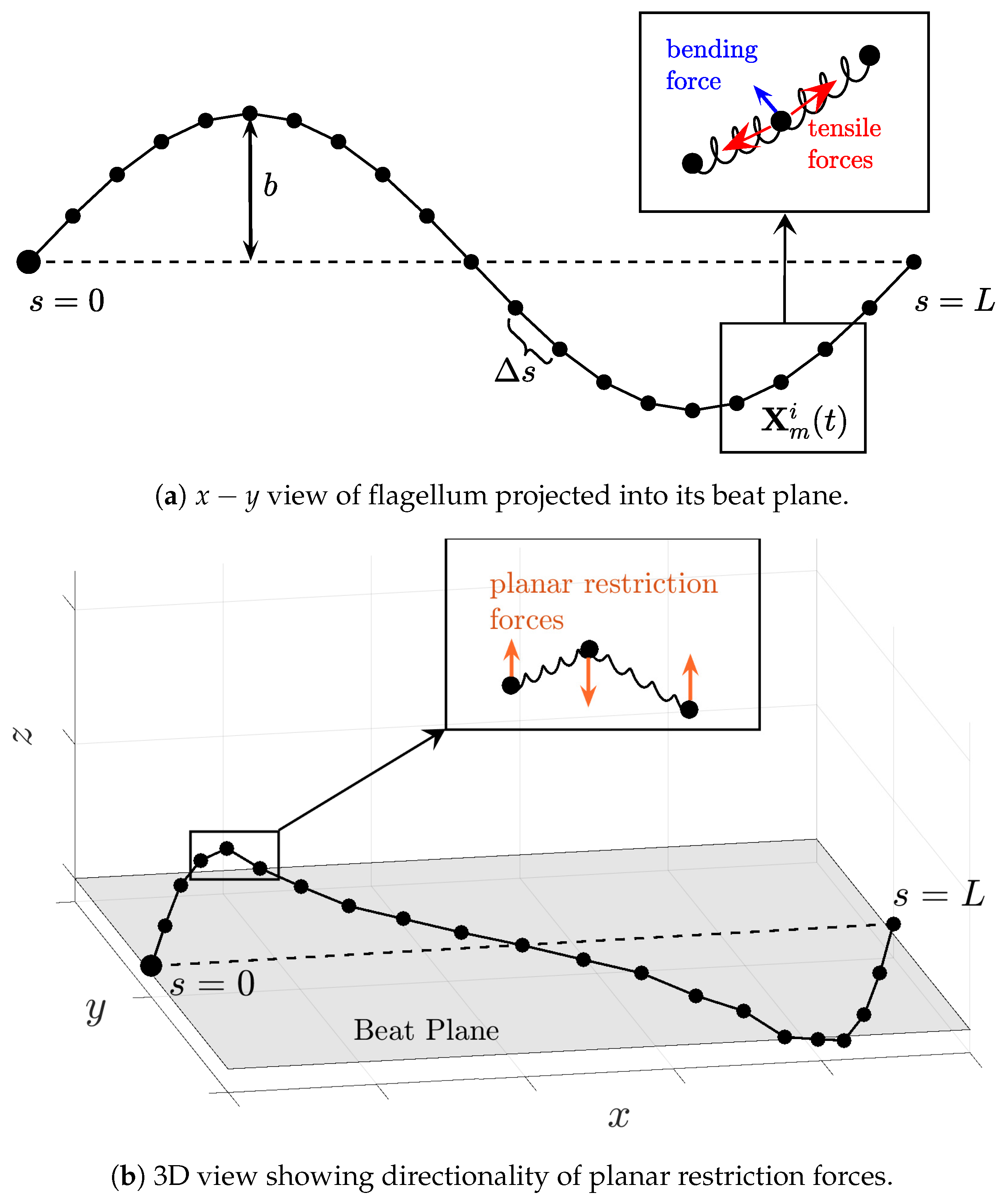 Fluids 06 00353 g002