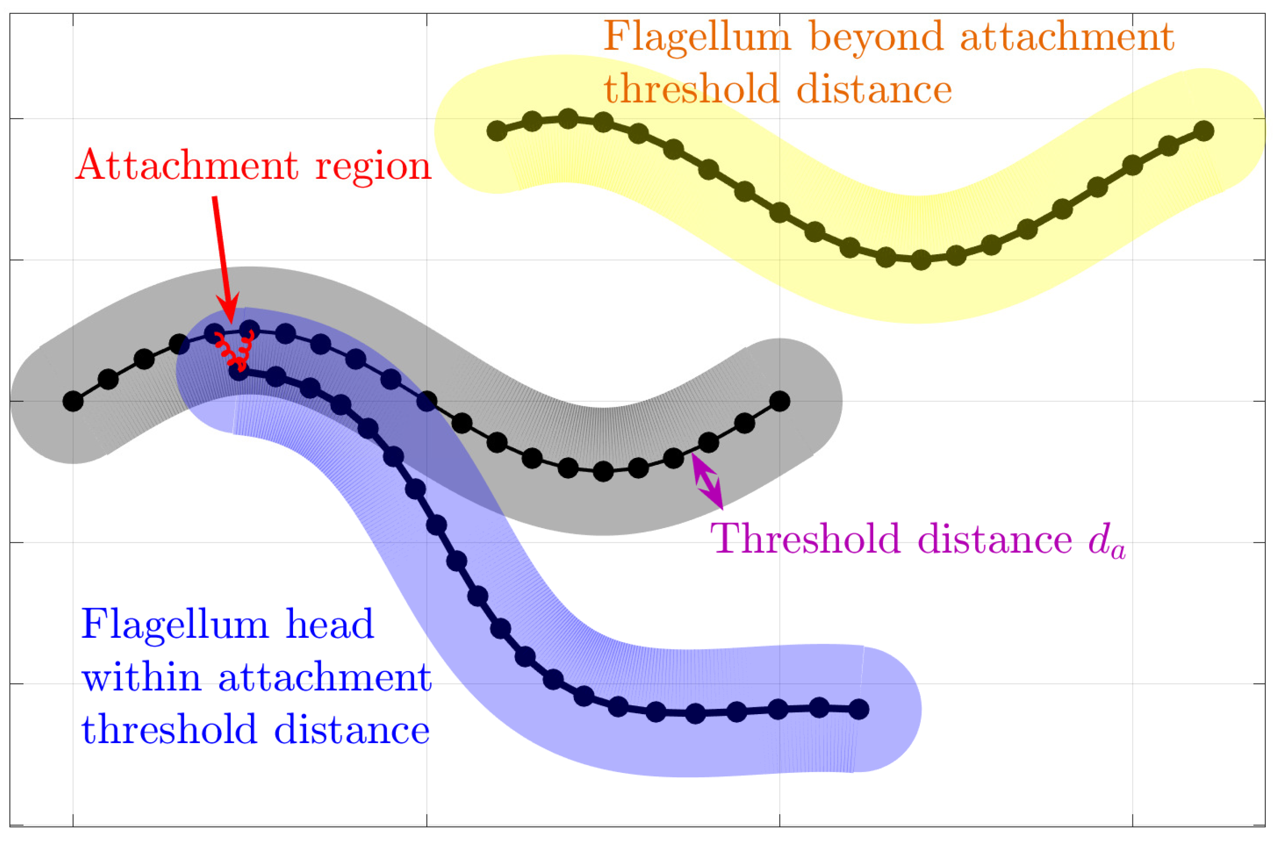 Fluids 06 00353 g003