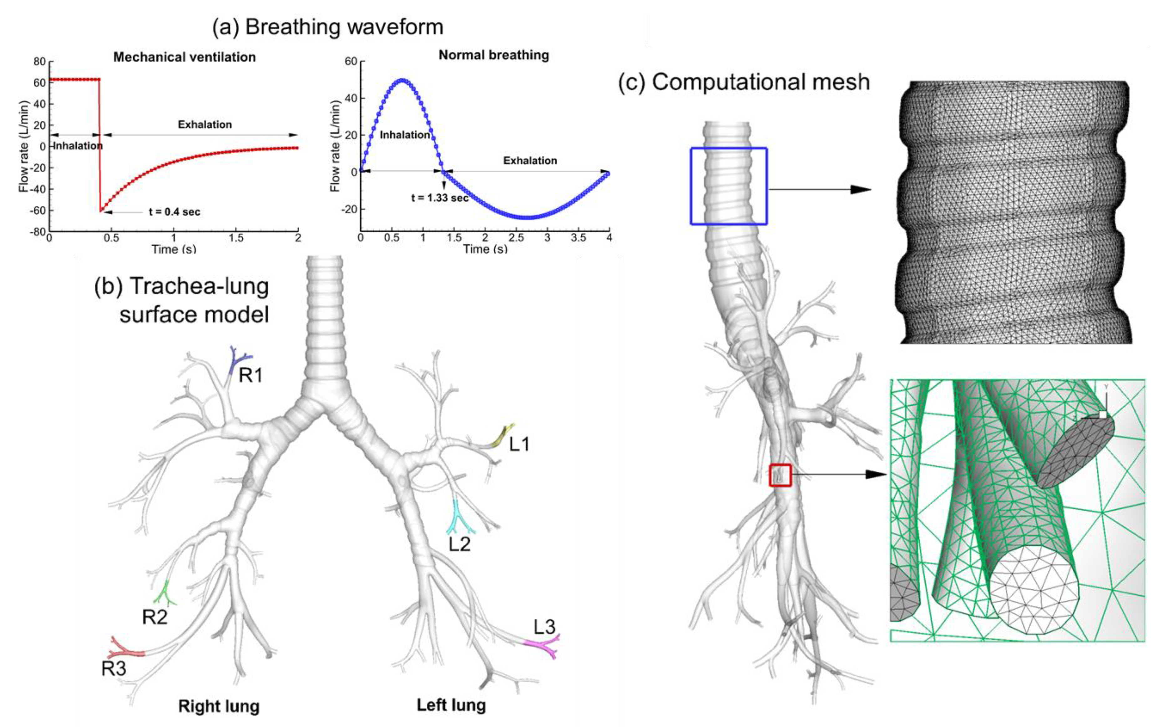 Fluids 06 00388 g001 550