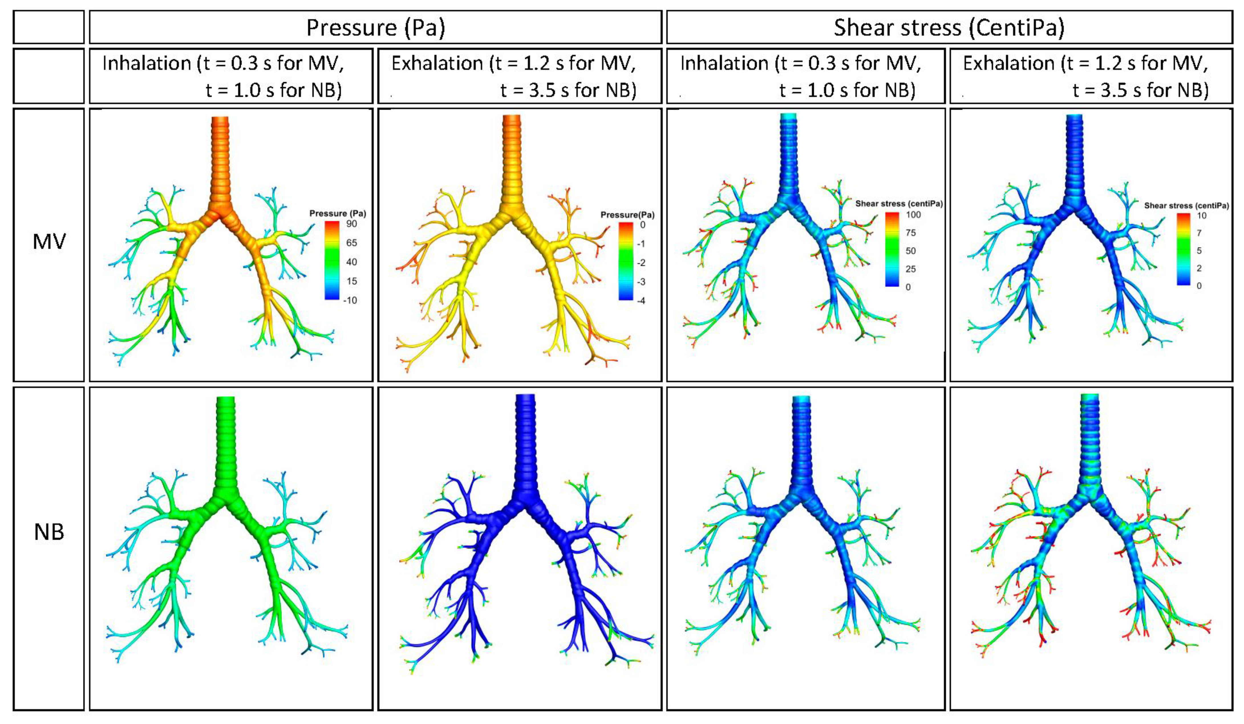 Fluids 06 00388 g004 550
