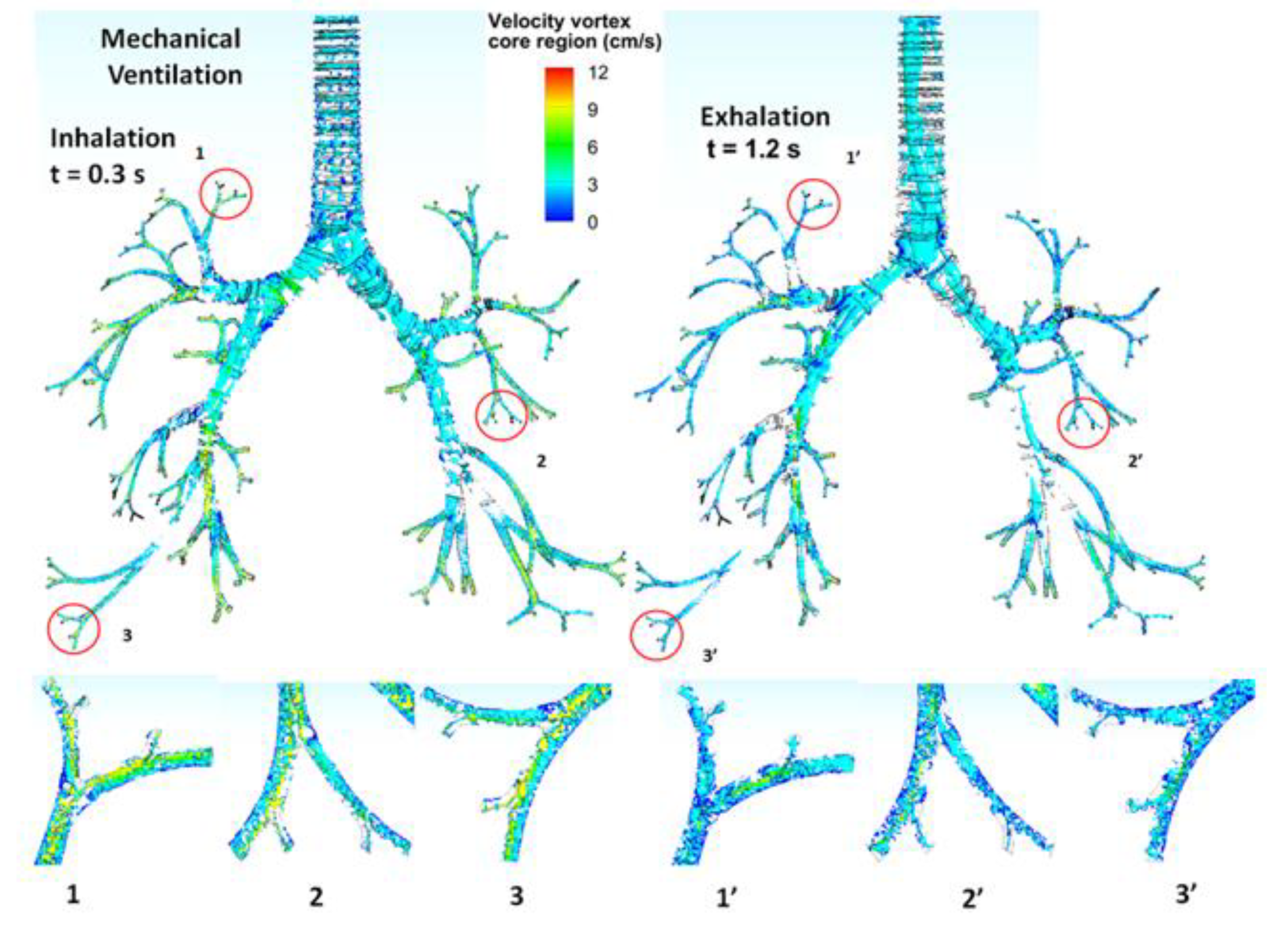 Fluids 06 00388 g006 550