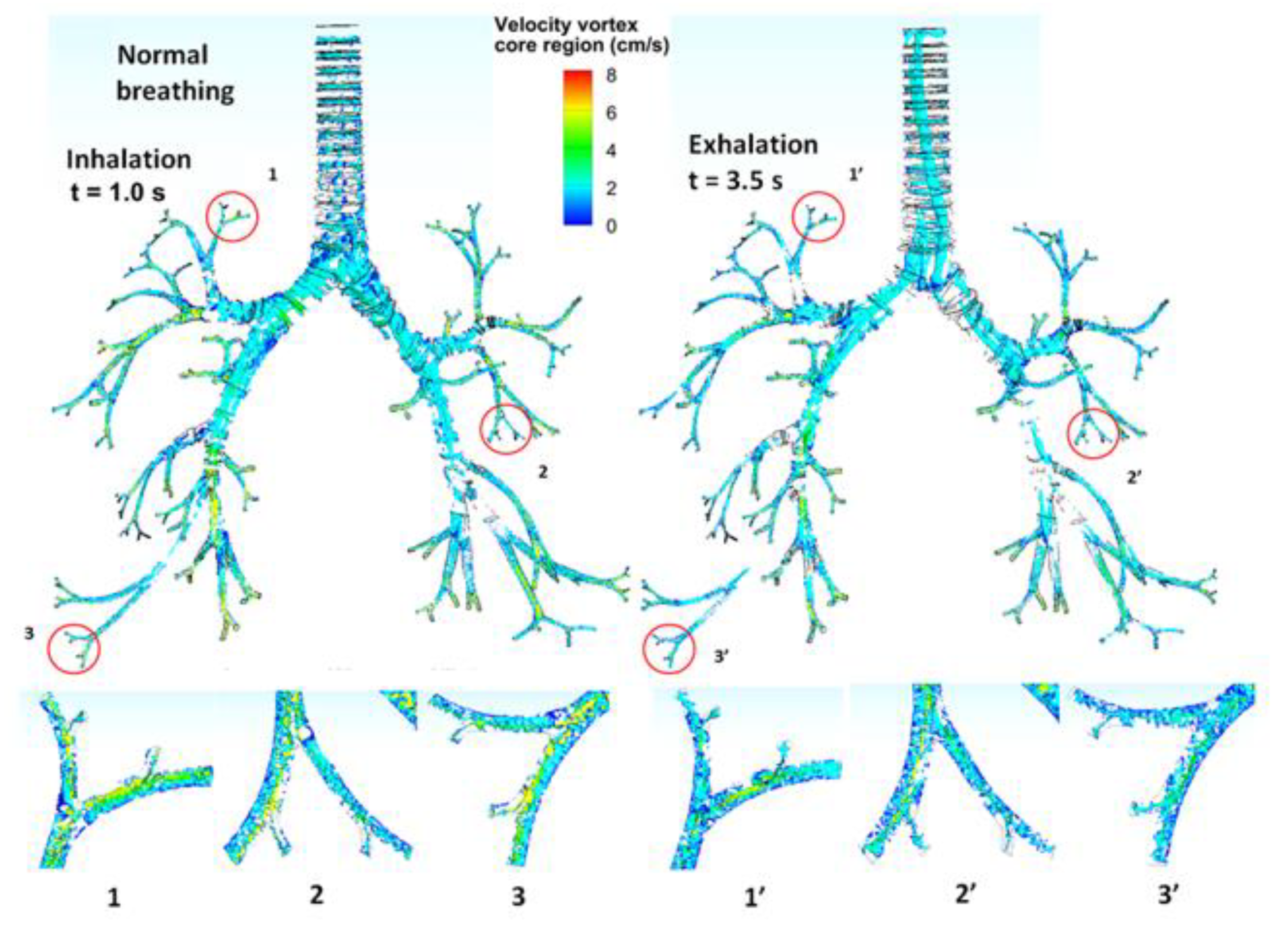 Fluids 06 00388 g007 550