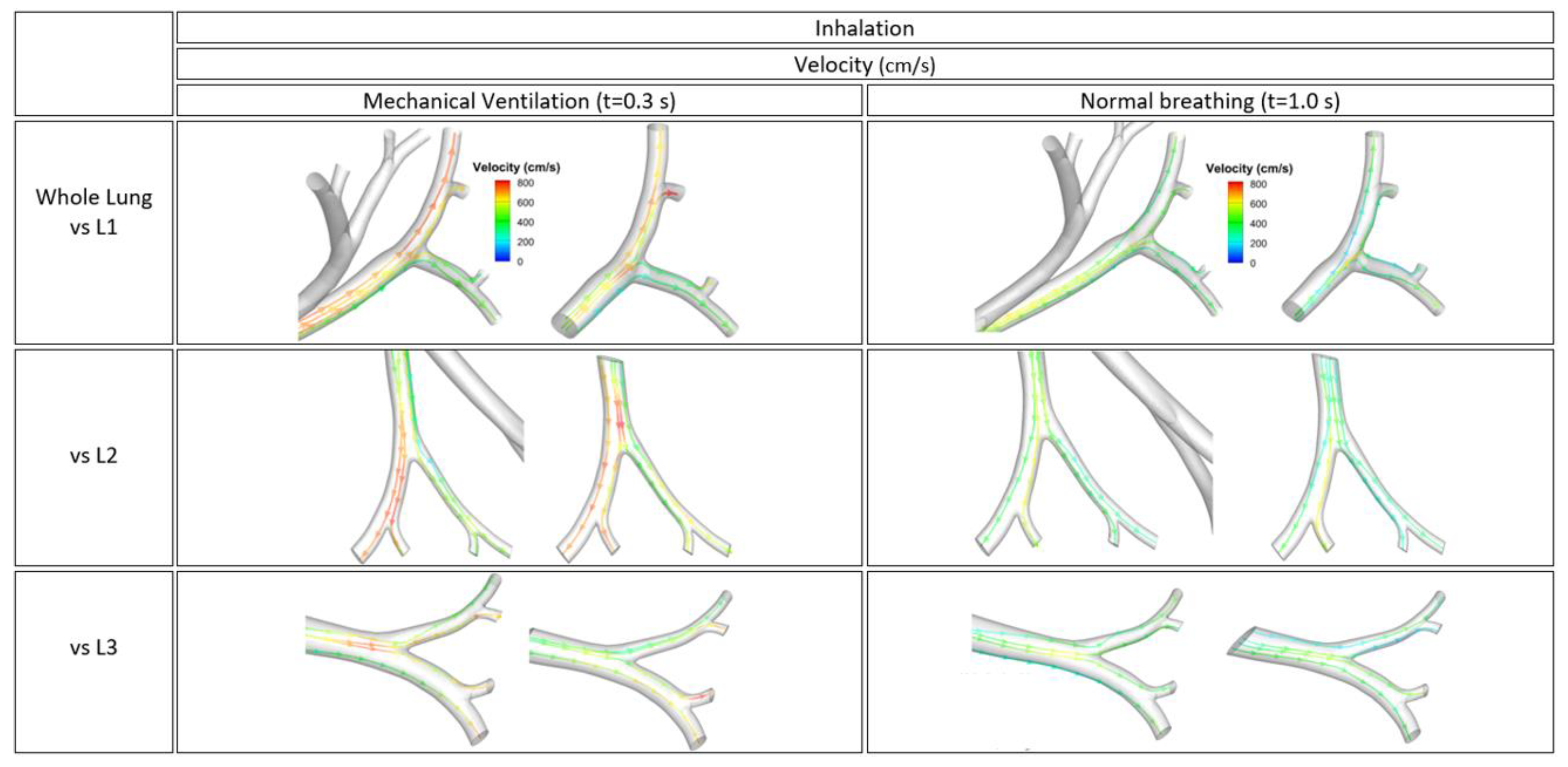 Fluids 06 00388 g008 550