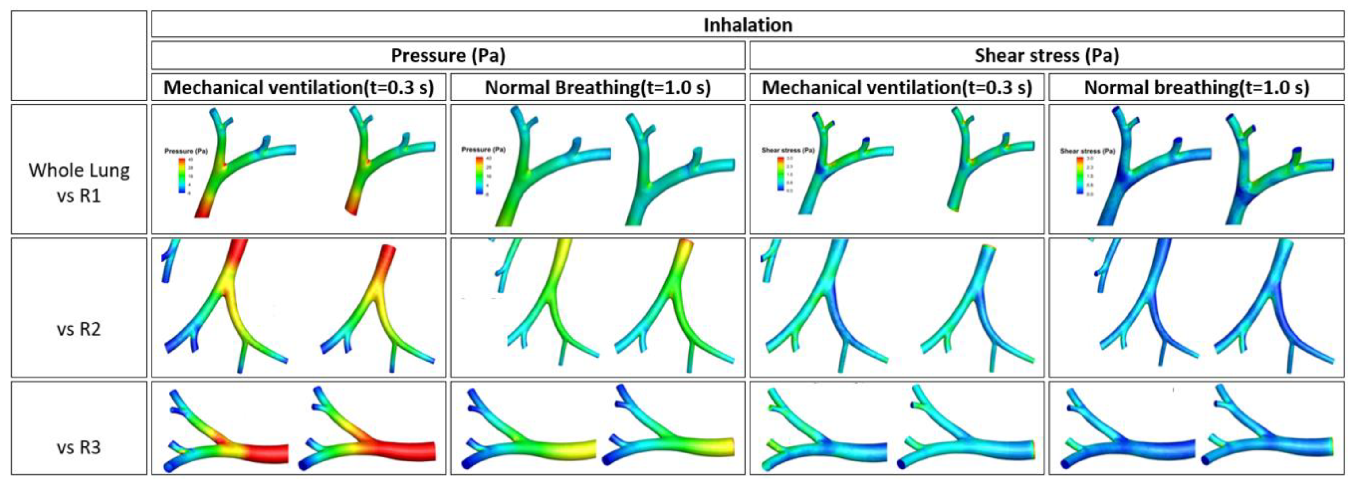Fluids 06 00388 g011 550
