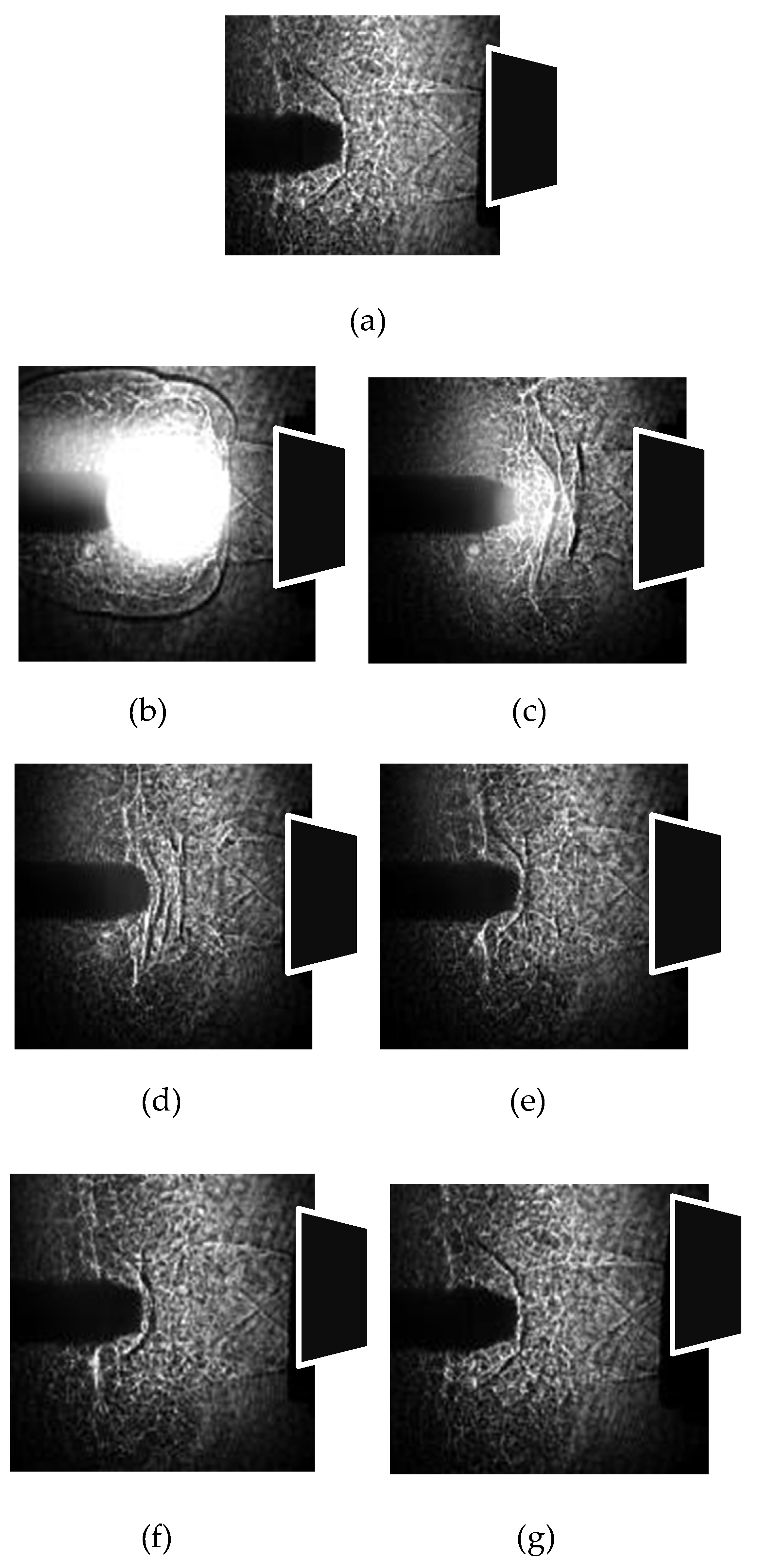 Fluids 06 00399 g003