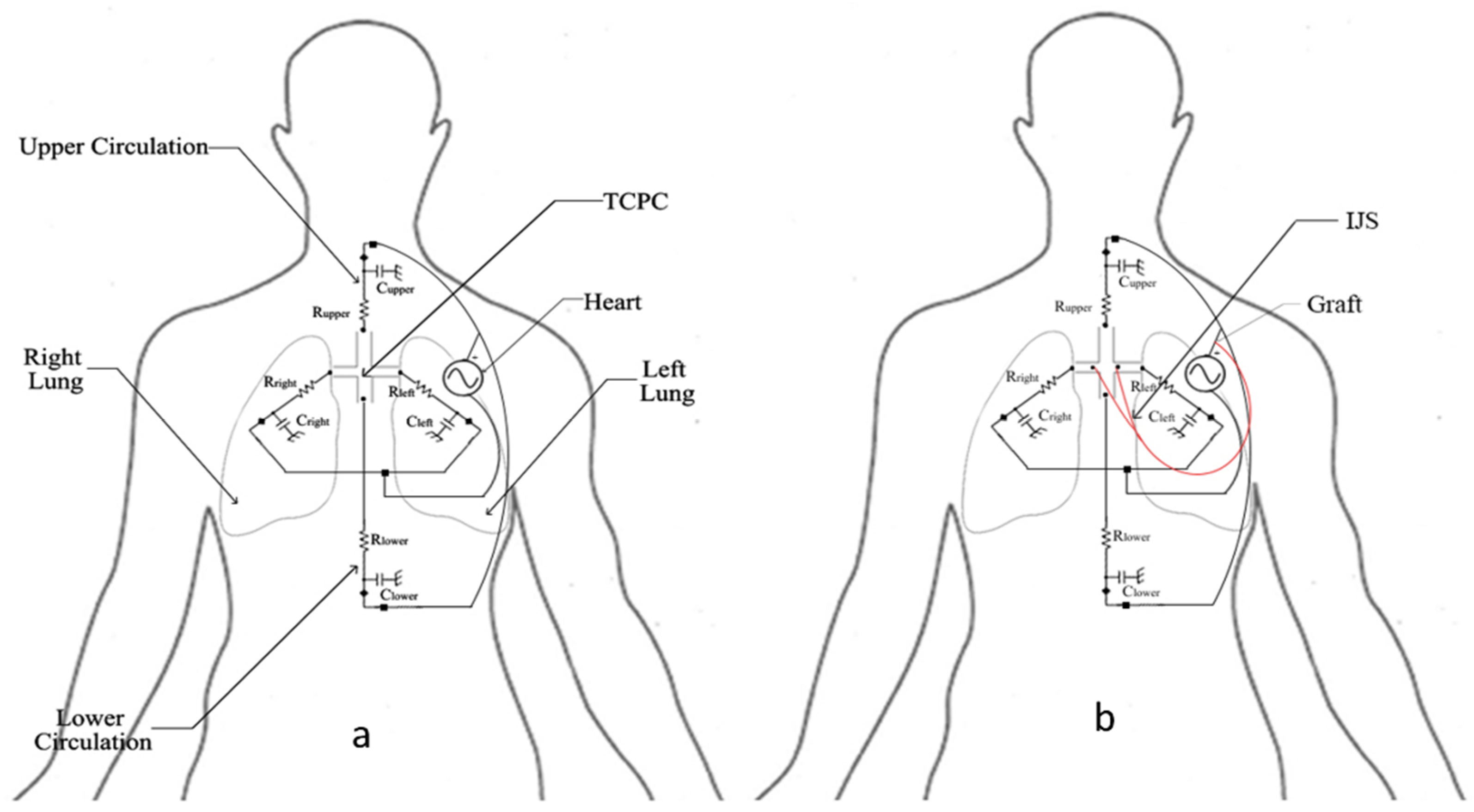 Fluids 06 00401 g004 550